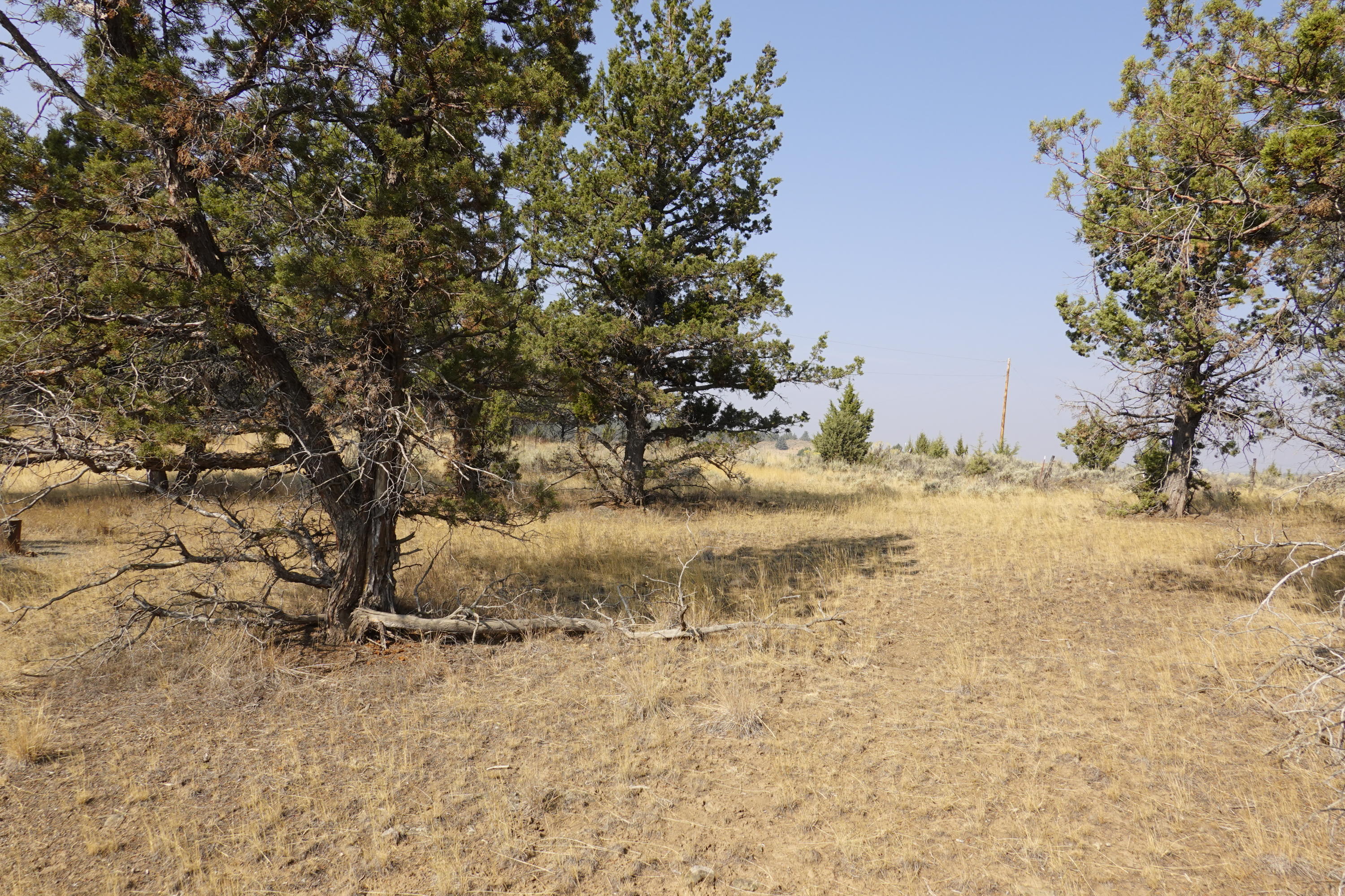 0 Southeast Dead End Road Prineville, OR 97754 - Photo 3 of 32 DSC00084