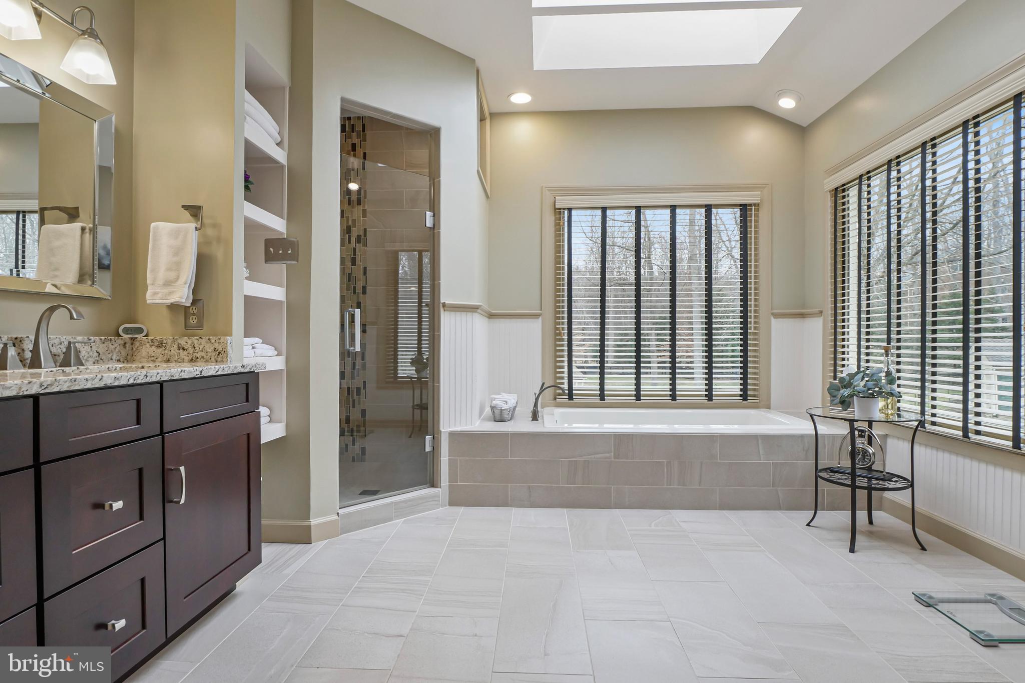 7407 Willowbrook Road Fairfax Station, VA 22039 - Photo 25 of 55 Primary bath w/sky lights and soaking tub