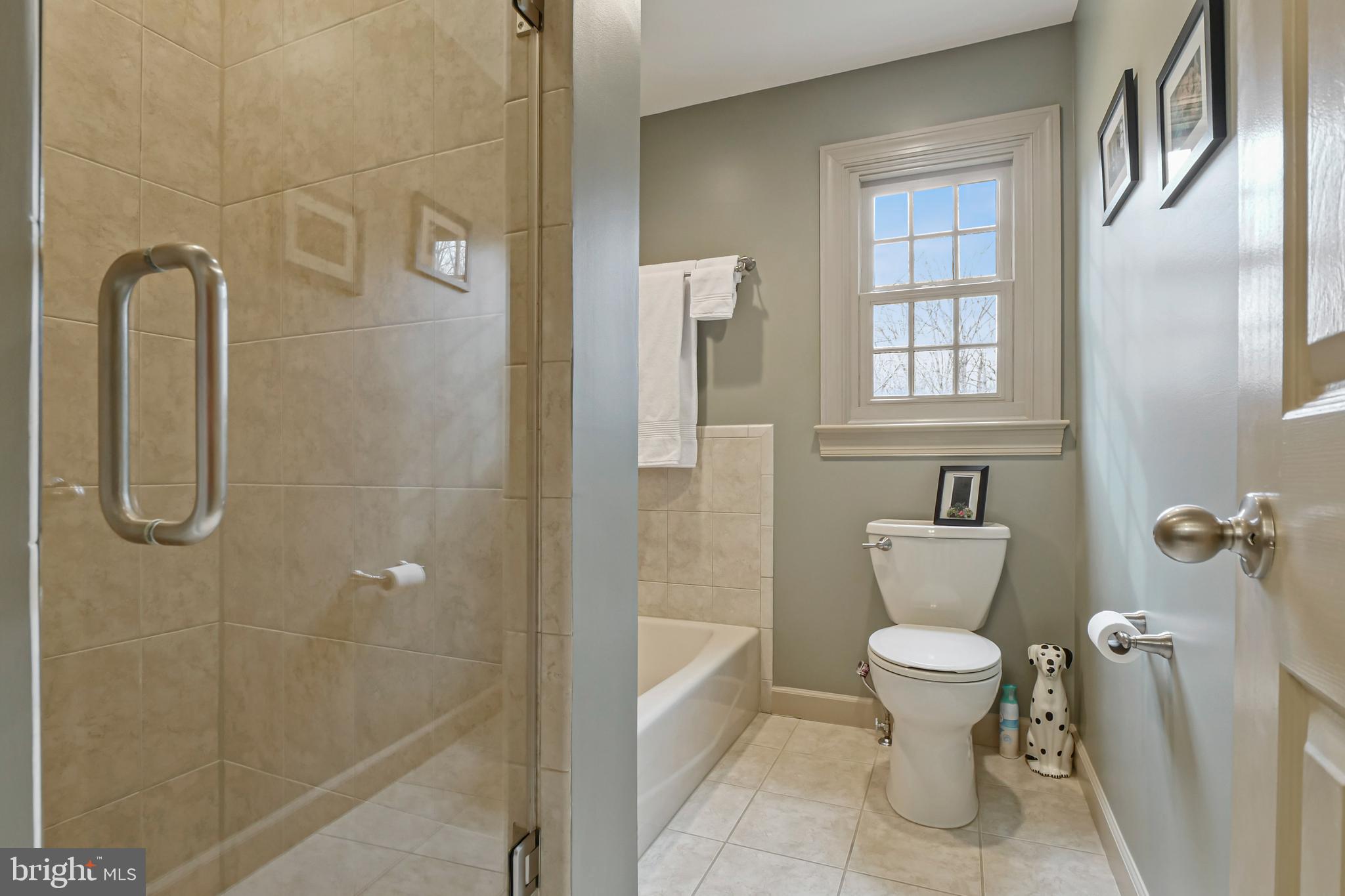 7407 Willowbrook Road Fairfax Station, VA 22039 - Photo 30 of 55 Buddy bath