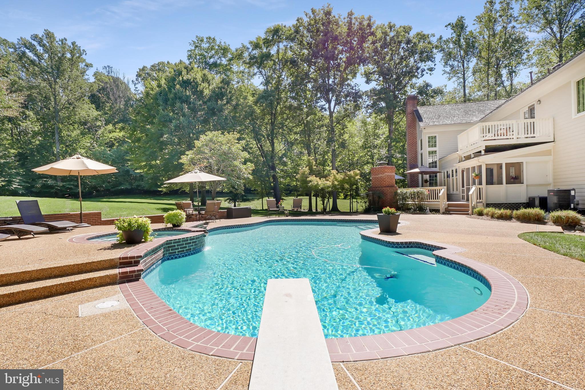 7407 Willowbrook Road Fairfax Station, VA 22039 - Photo 47 of 55 Deep end with diving board