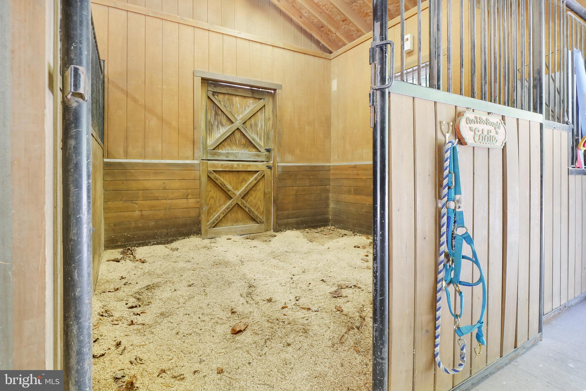 7407 Willowbrook Road Fairfax Station, VA 22039 - Photo 52 of 55 Picture your horse here