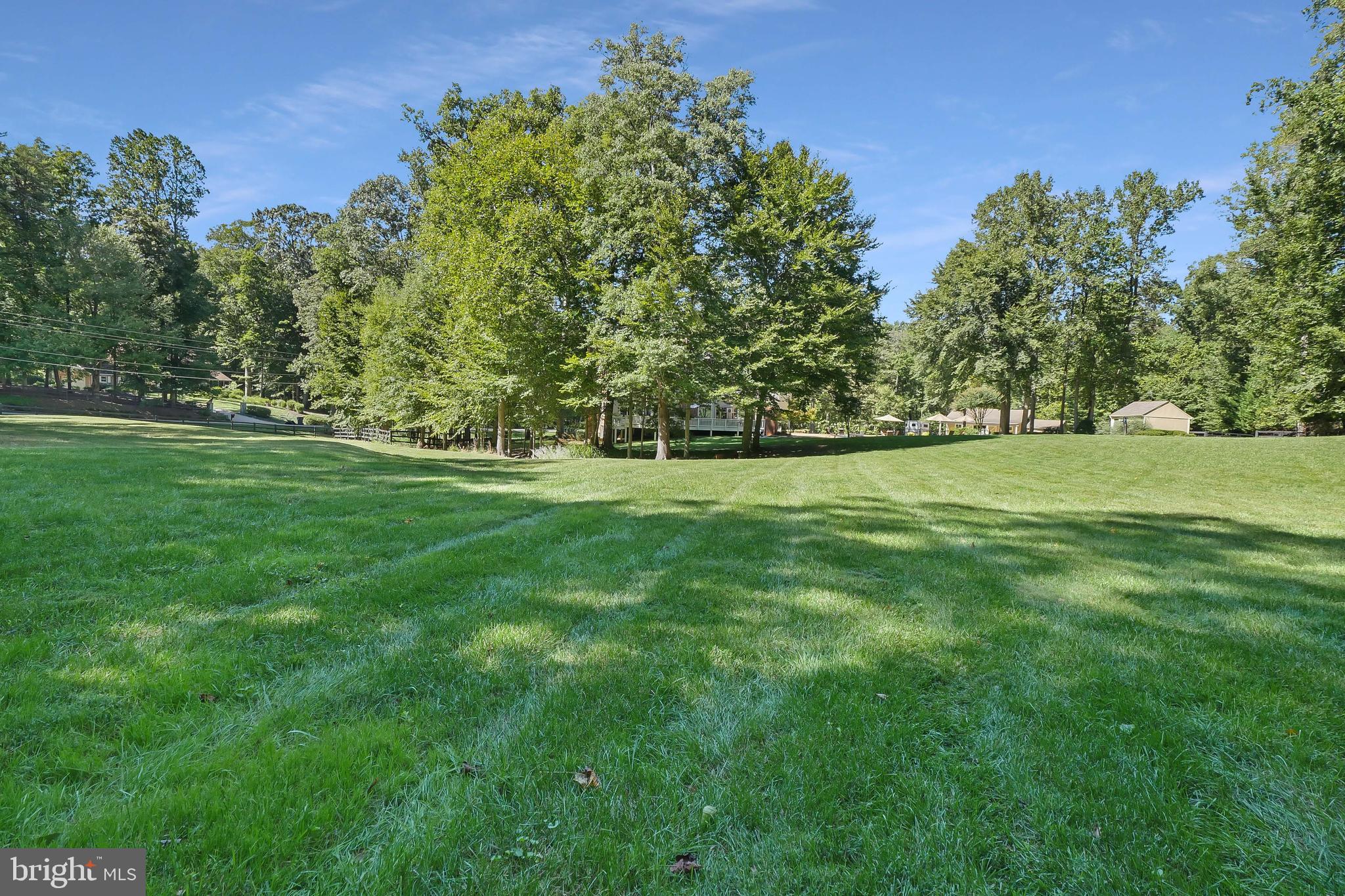 7407 Willowbrook Road Fairfax Station, VA 22039 - Photo 55 of 55 Room to roam on property