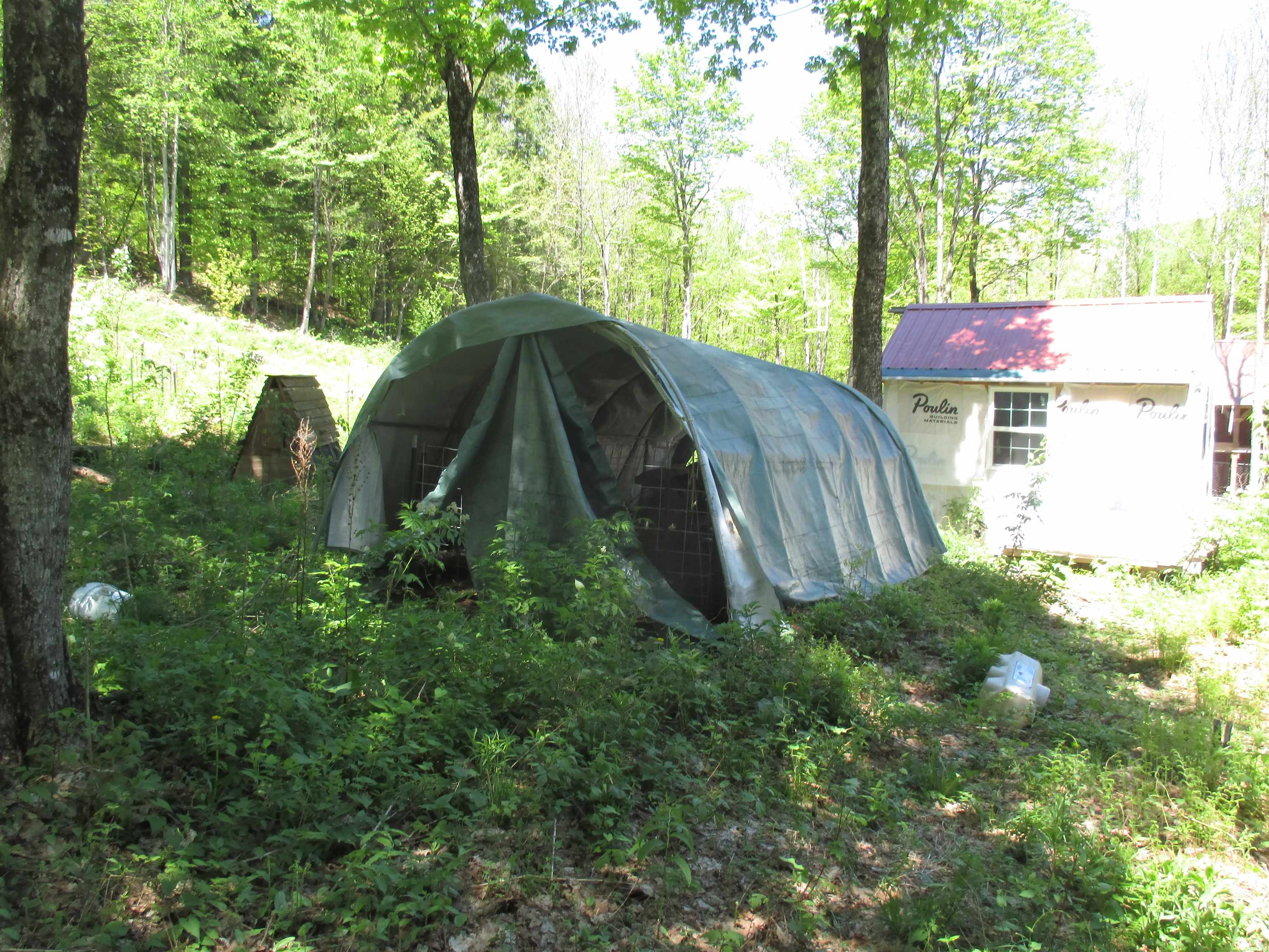 798 Ball Ground Road Westfield, VT 05874 - Photo 3 of 17