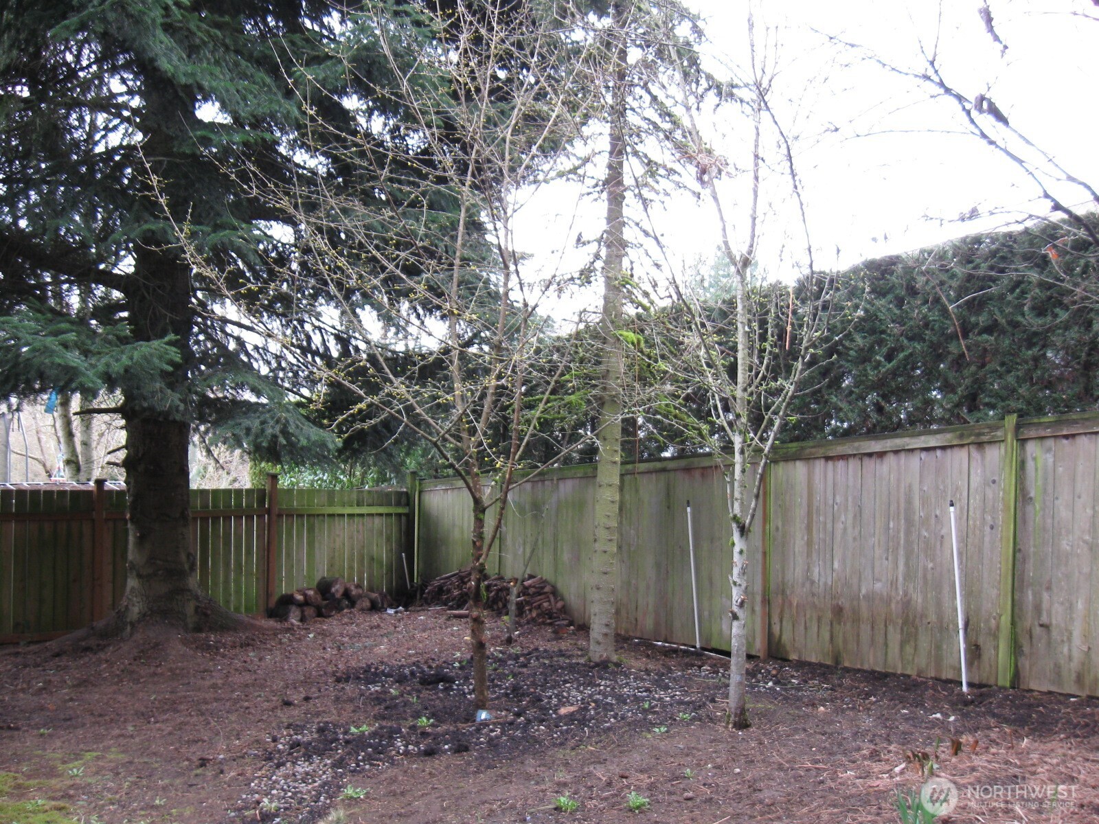 8428 Northeast 178th Street Bothell, WA 98011 - Photo 23 of 23