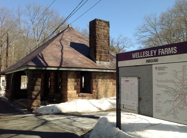81 Croton Street Wellesley, MA 02481 - Photo 30 of 30