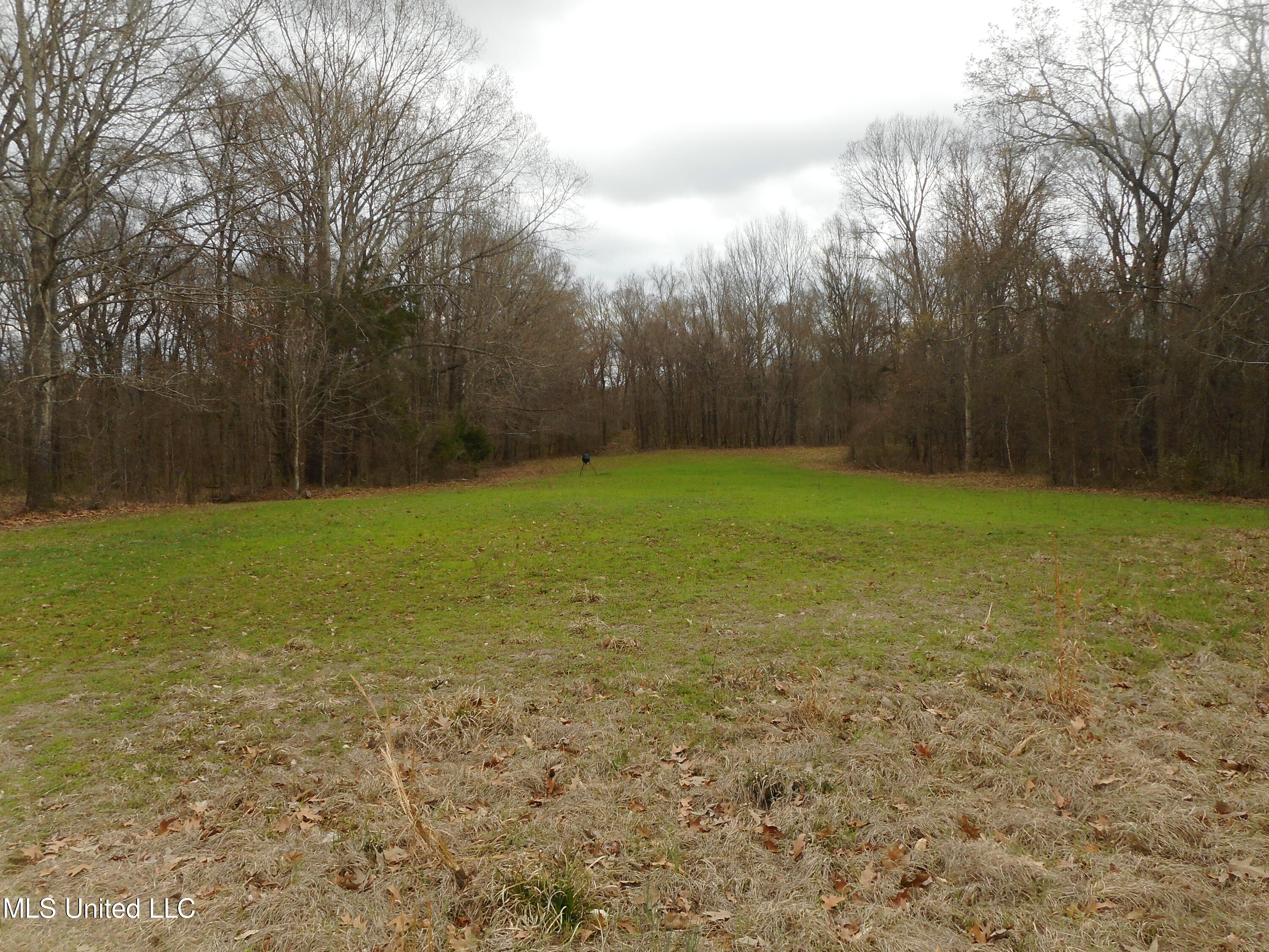 647 Liverpool Road Yazoo City, MS 39194 - Photo 32 of 41 DSCN1587