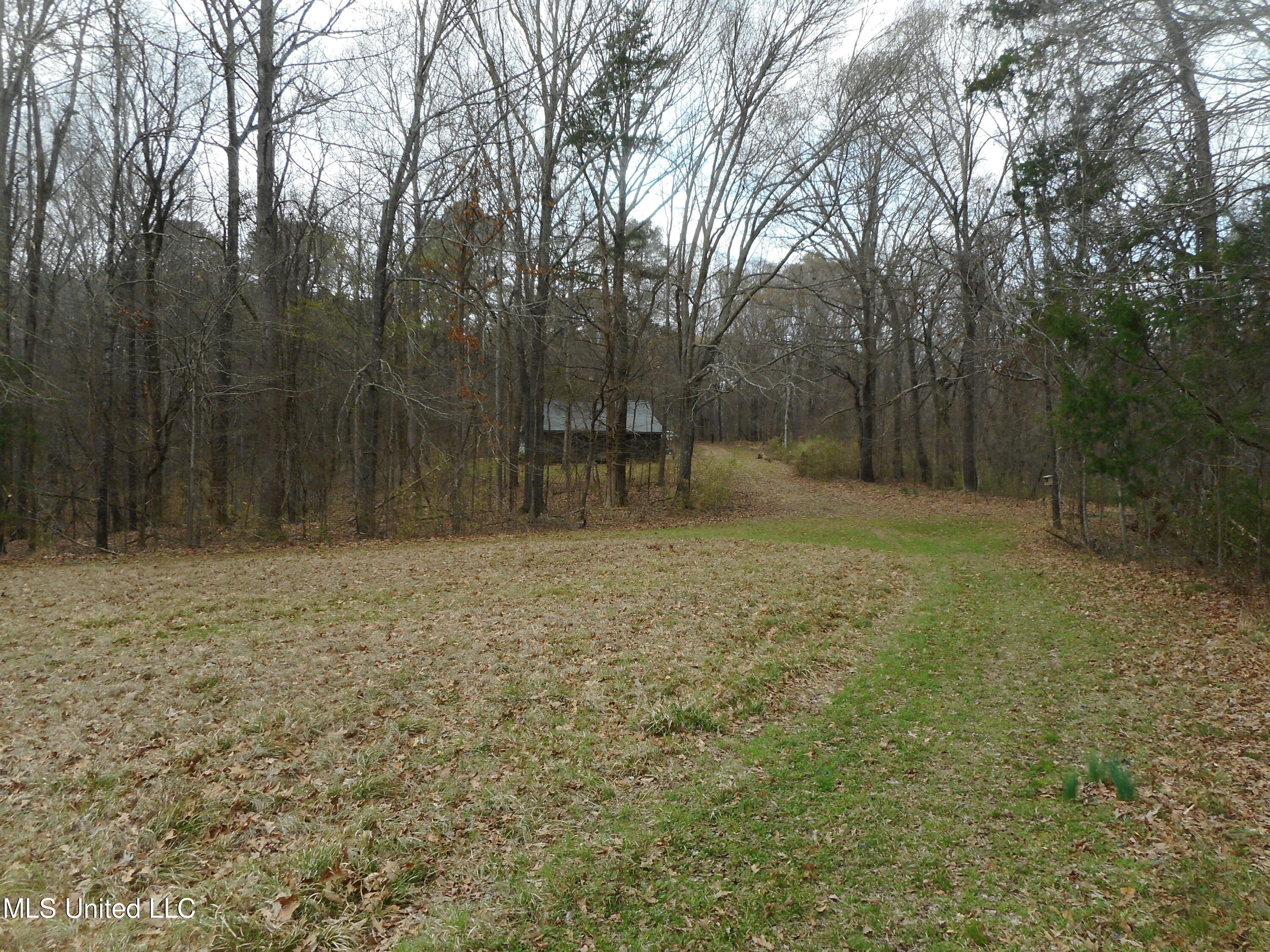 647 Liverpool Road Yazoo City, MS 39194 - Photo 34 of 41 DSCN1589