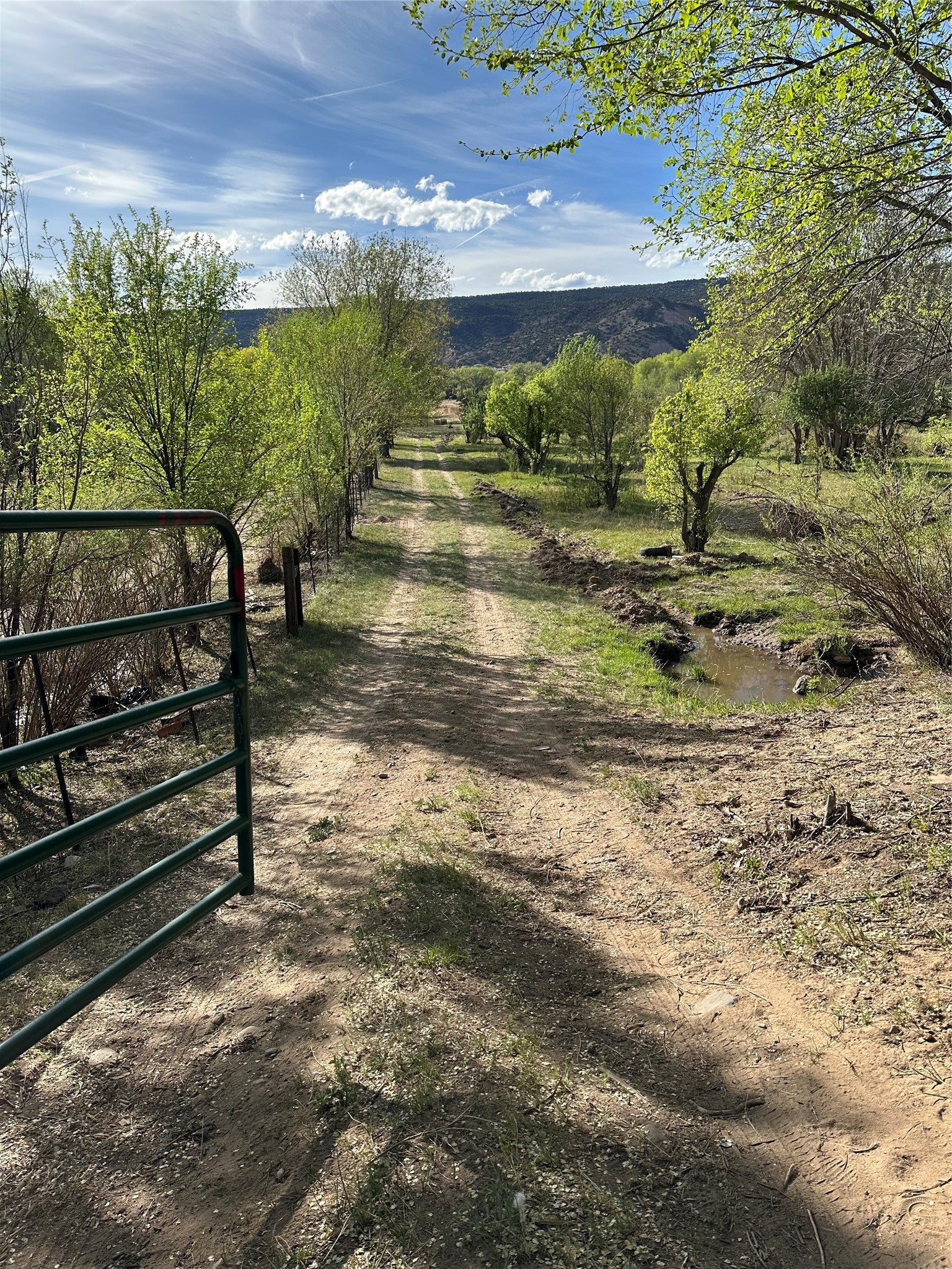 4 County Road 41 Alcalde, NM 87511 - Photo 1 of 1