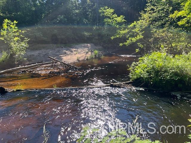 11.6 Acres Off Remington Road Marquette, MI 49855 - Photo 30 of 39