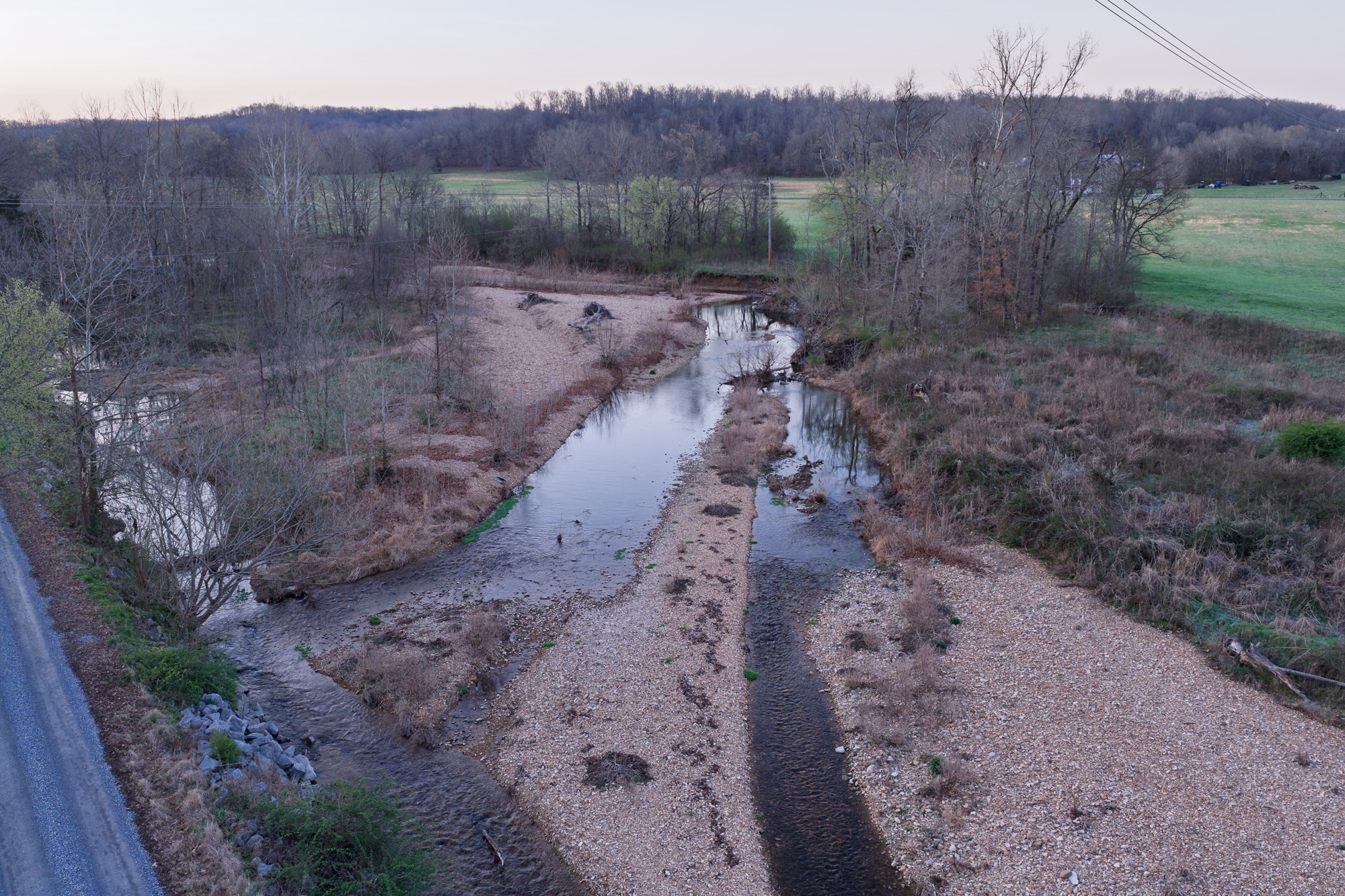 0 Nix Lane Waverly, TN 37185 - Photo 11 of 32 a view of a dry yard with trees