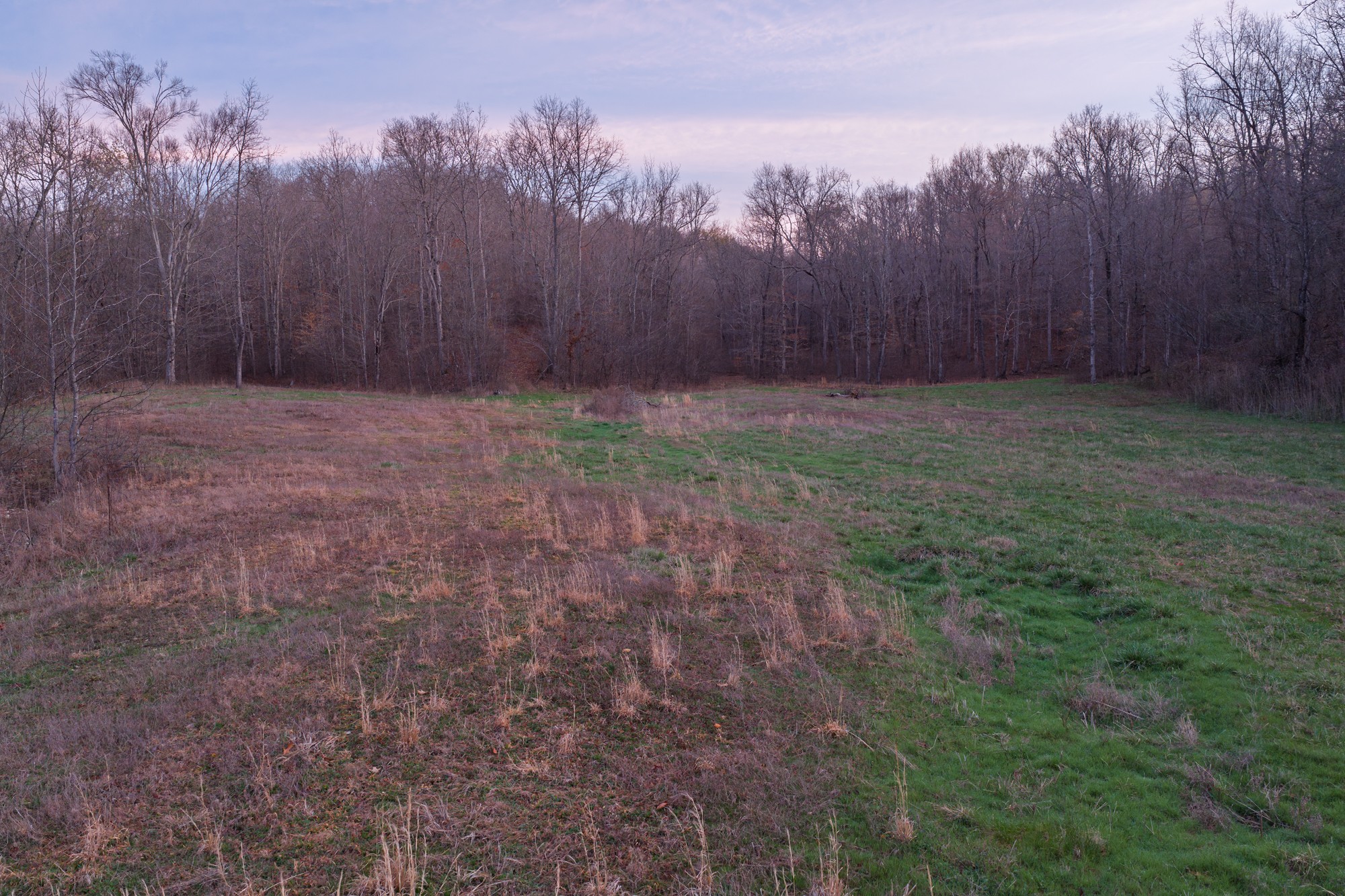 0 Nix Lane Waverly, TN 37185 - Photo 13 of 32 a view of backyard with tree