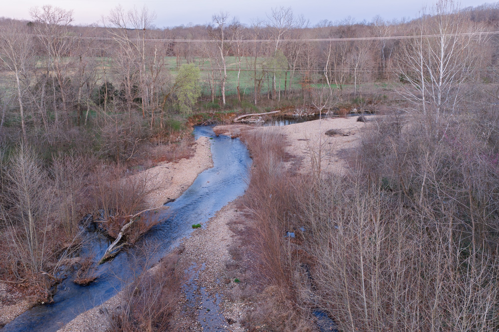 0 Nix Lane Waverly, TN 37185 - Photo 14 of 32 a view of a forest with a street