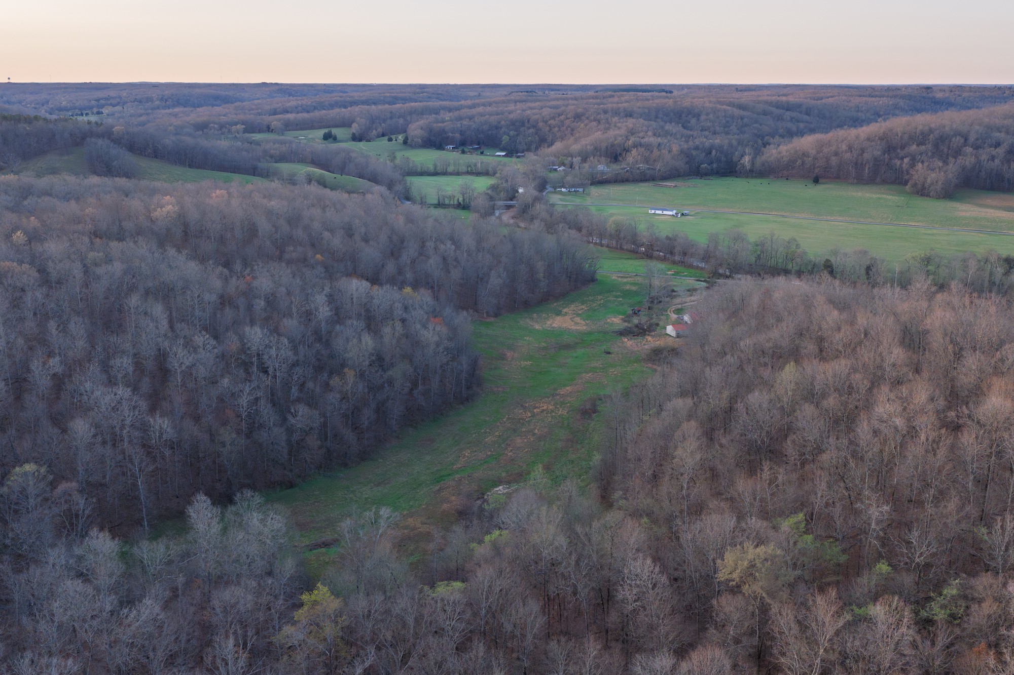 0 Nix Lane Waverly, TN 37185 - Photo 17 of 32 a view of a dry yard with trees