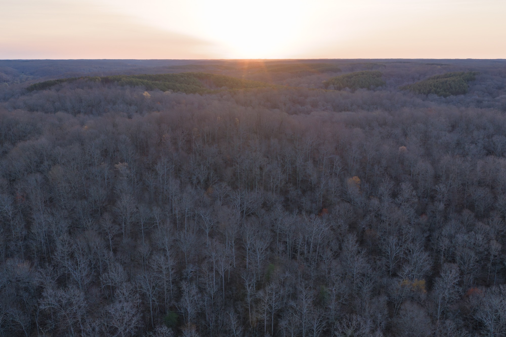 0 Nix Lane Waverly, TN 37185 - Photo 19 of 32 a view of a field