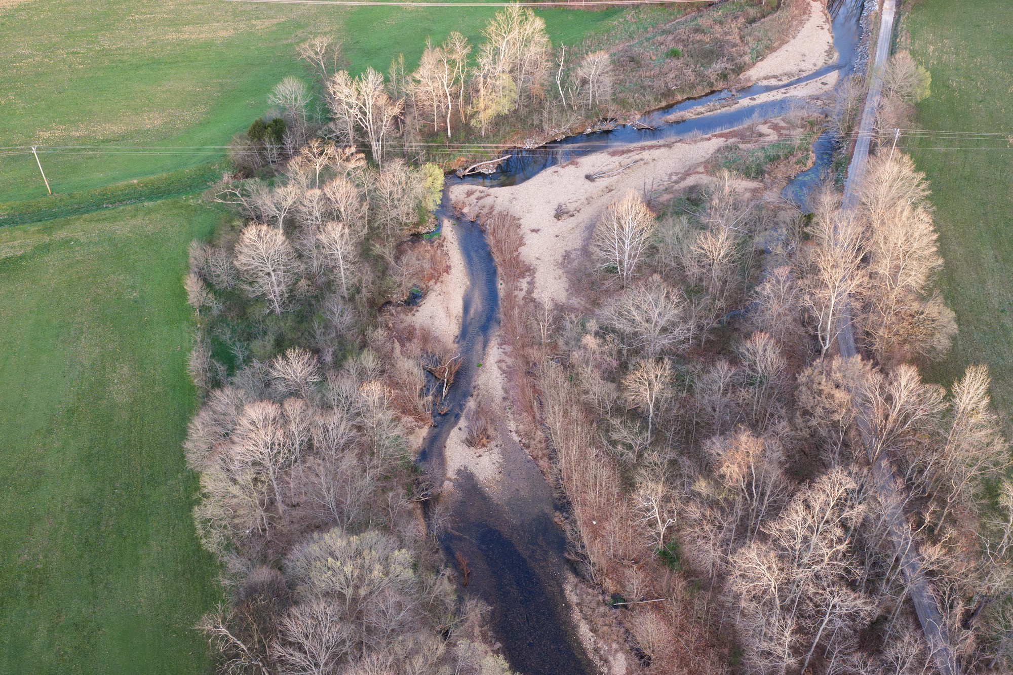 0 Nix Lane Waverly, TN 37185 - Photo 22 of 32 a view of a yard