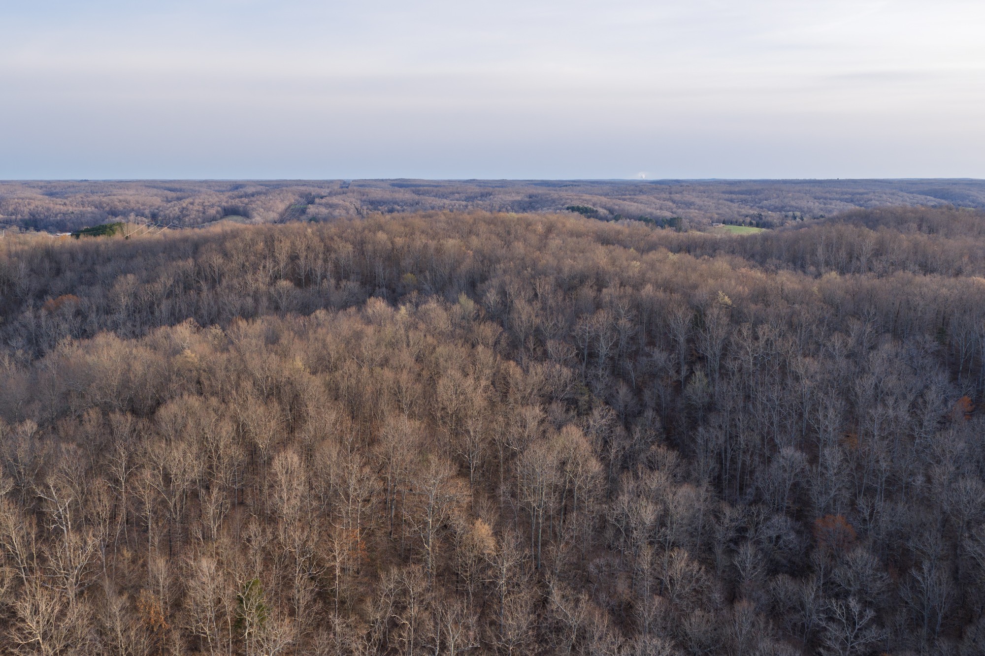 0 Nix Lane Waverly, TN 37185 - Photo 24 of 32 a view of a city