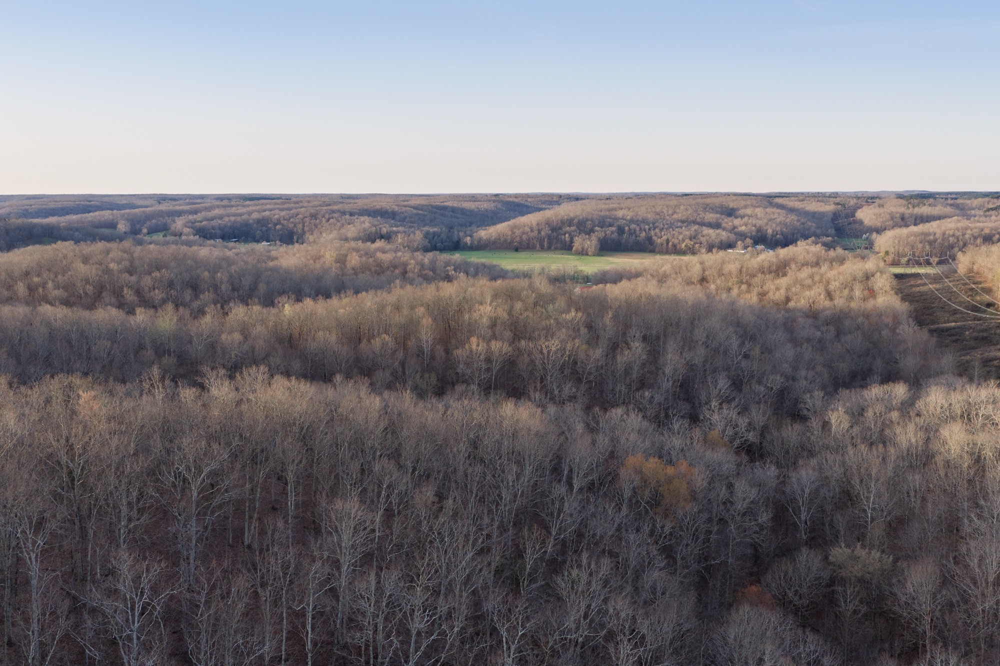 0 Nix Lane Waverly, TN 37185 - Photo 25 of 32 a view of a dry field in a field