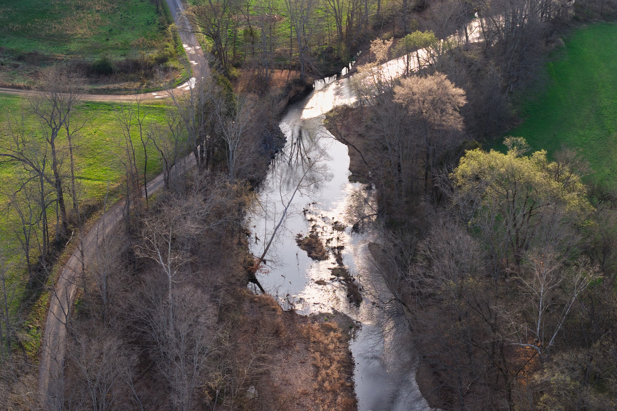 0 Nix Lane Waverly, TN 37185 - Photo 26 of 32 a view of a yard of a house