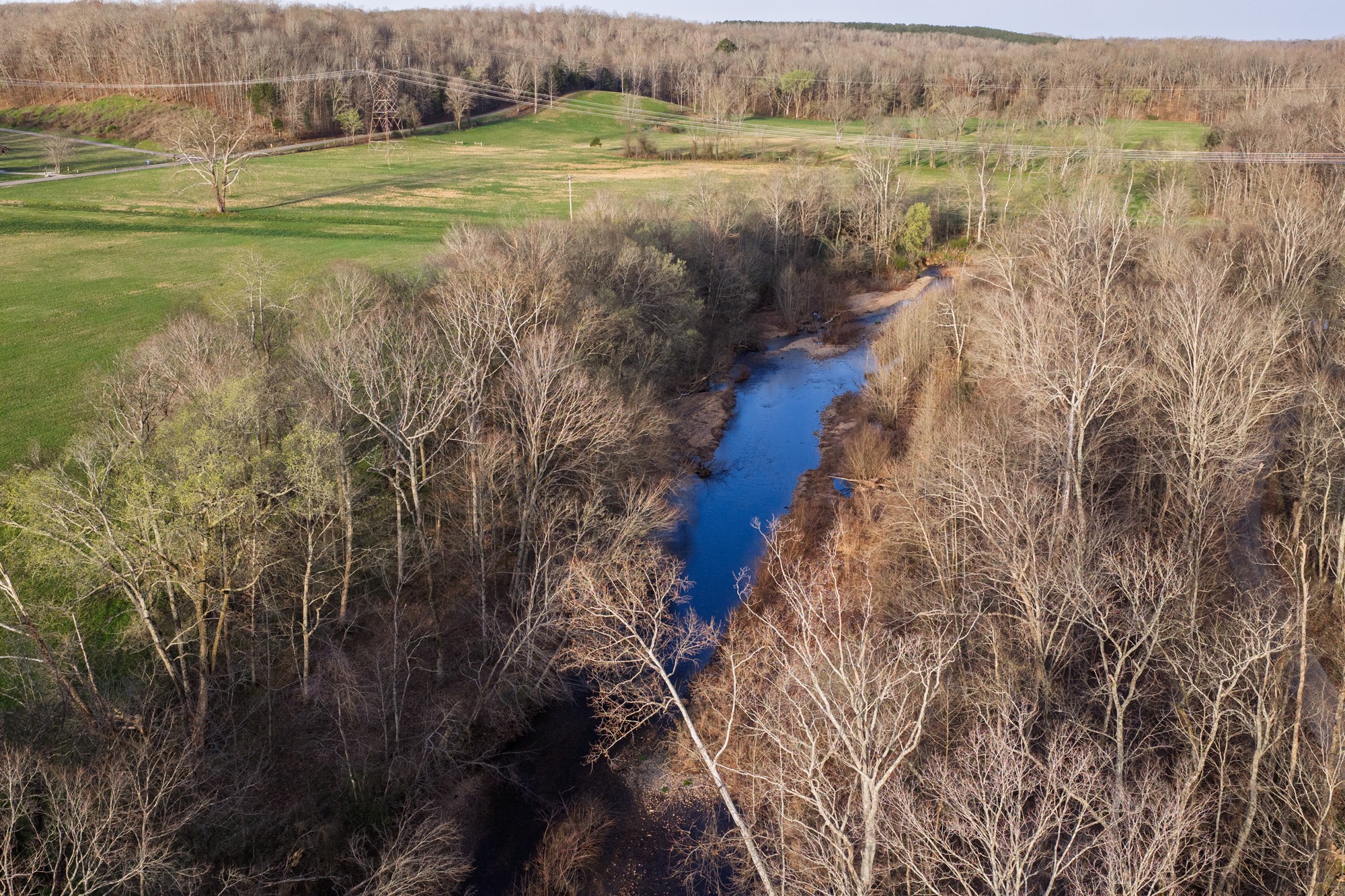 0 Nix Lane Waverly, TN 37185 - Photo 27 of 32 a view of a field with an ocean view
