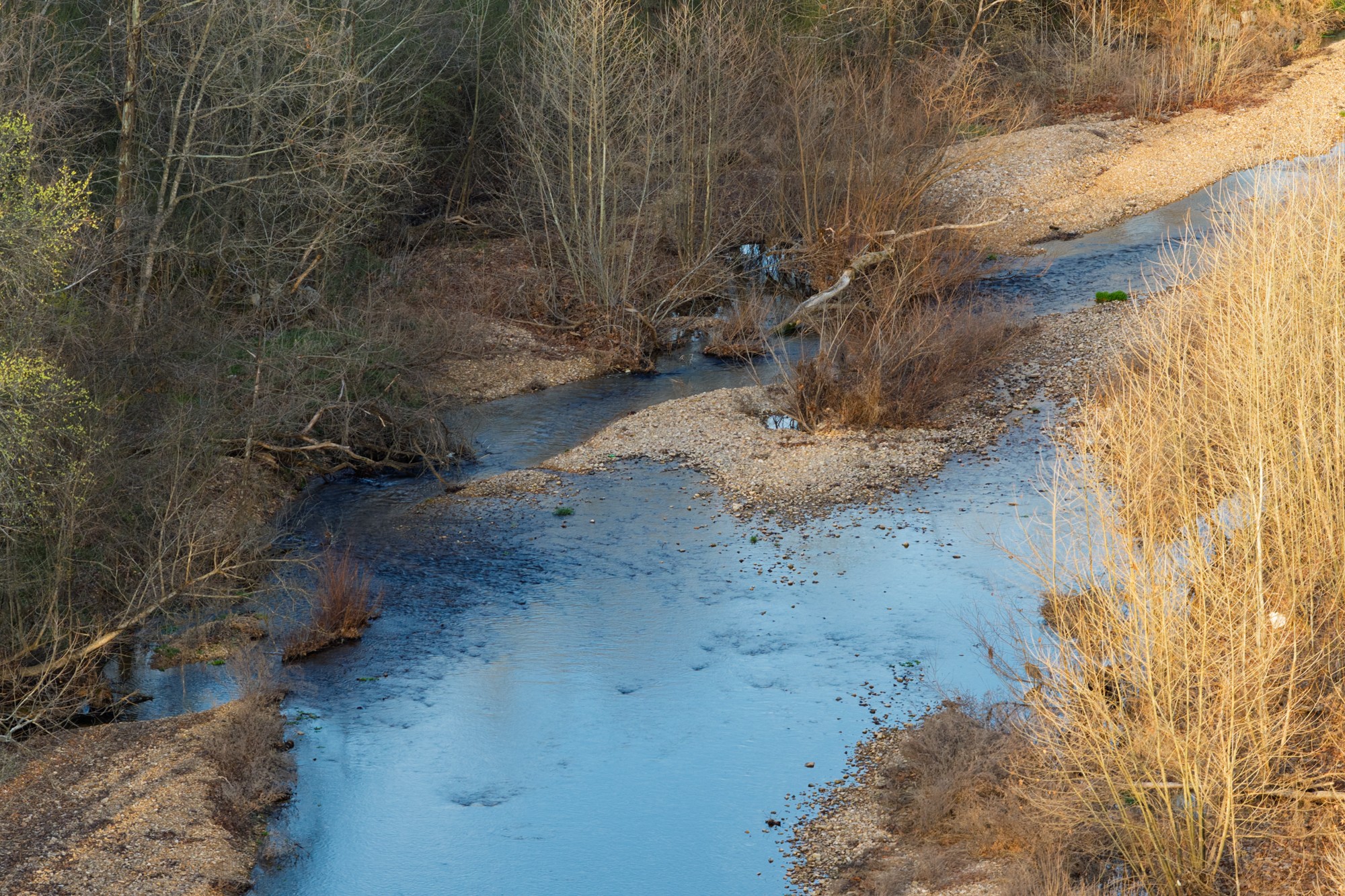 0 Nix Lane Waverly, TN 37185 - Photo 28 of 32 a view of a dry yard with wooden fence