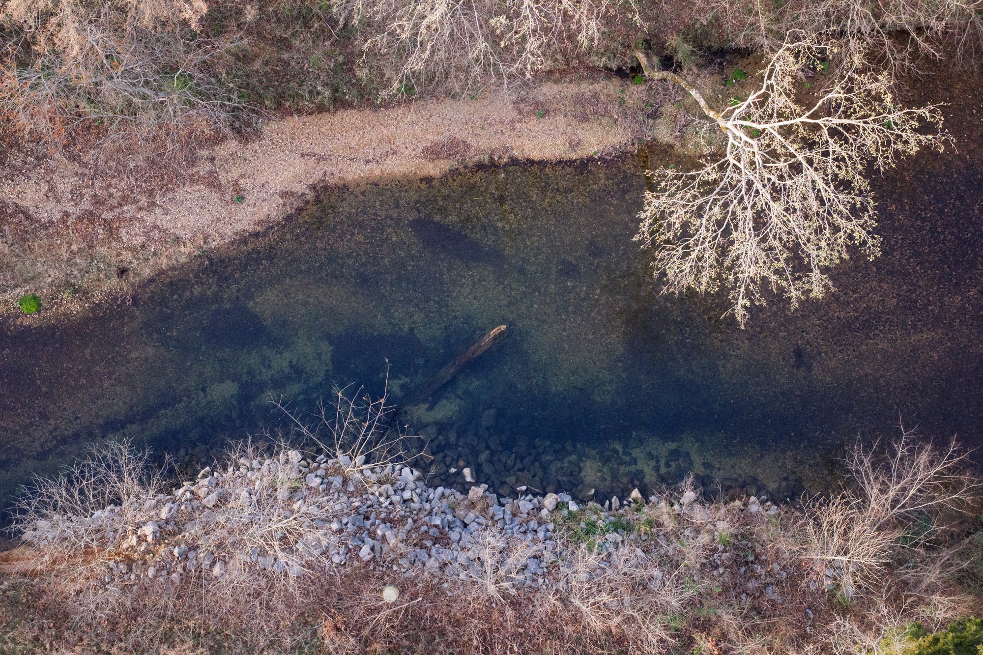 0 Nix Lane Waverly, TN 37185 - Photo 29 of 32 a view of a yard