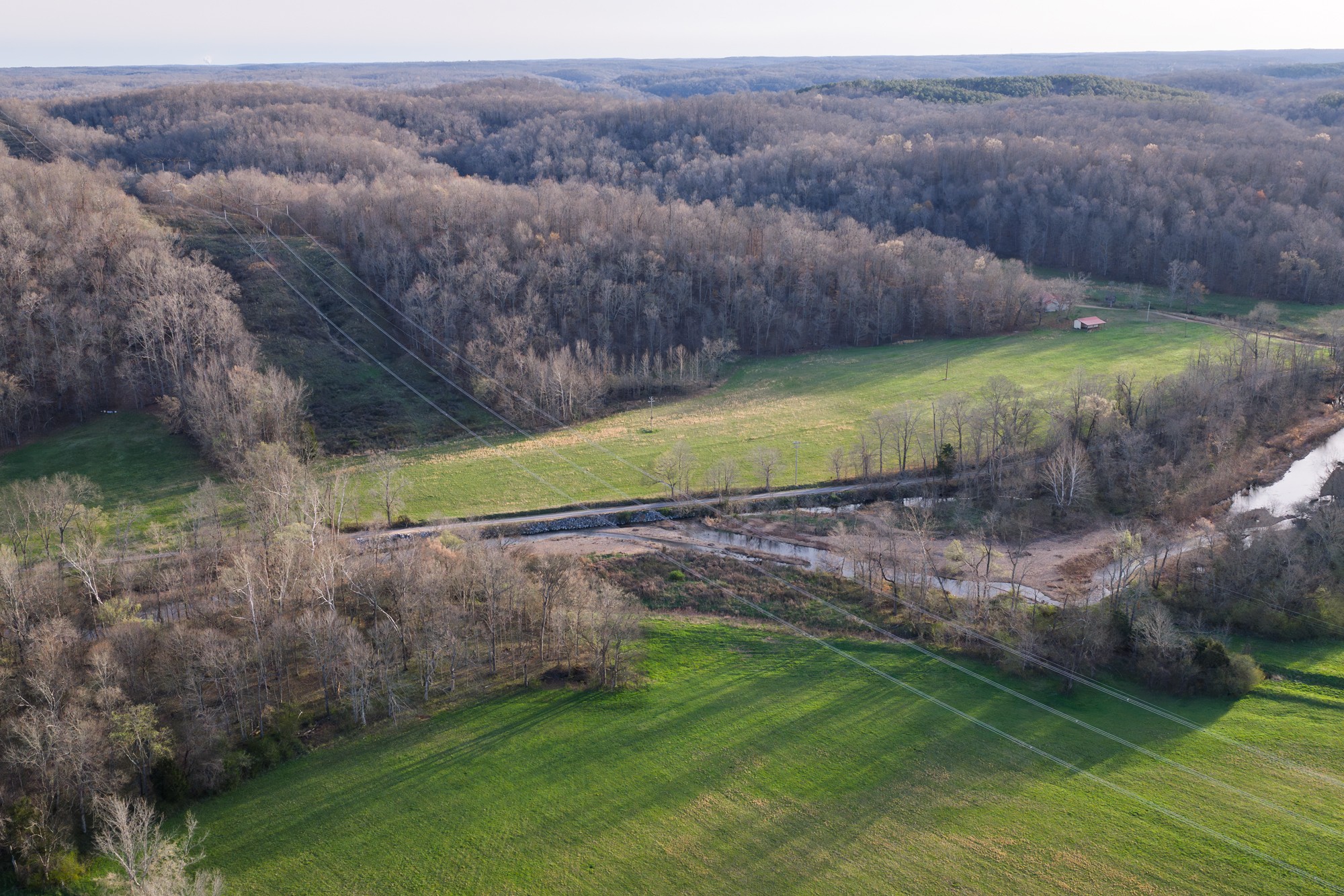 0 Nix Lane Waverly, TN 37185 - Photo 30 of 32 a view of a back yard