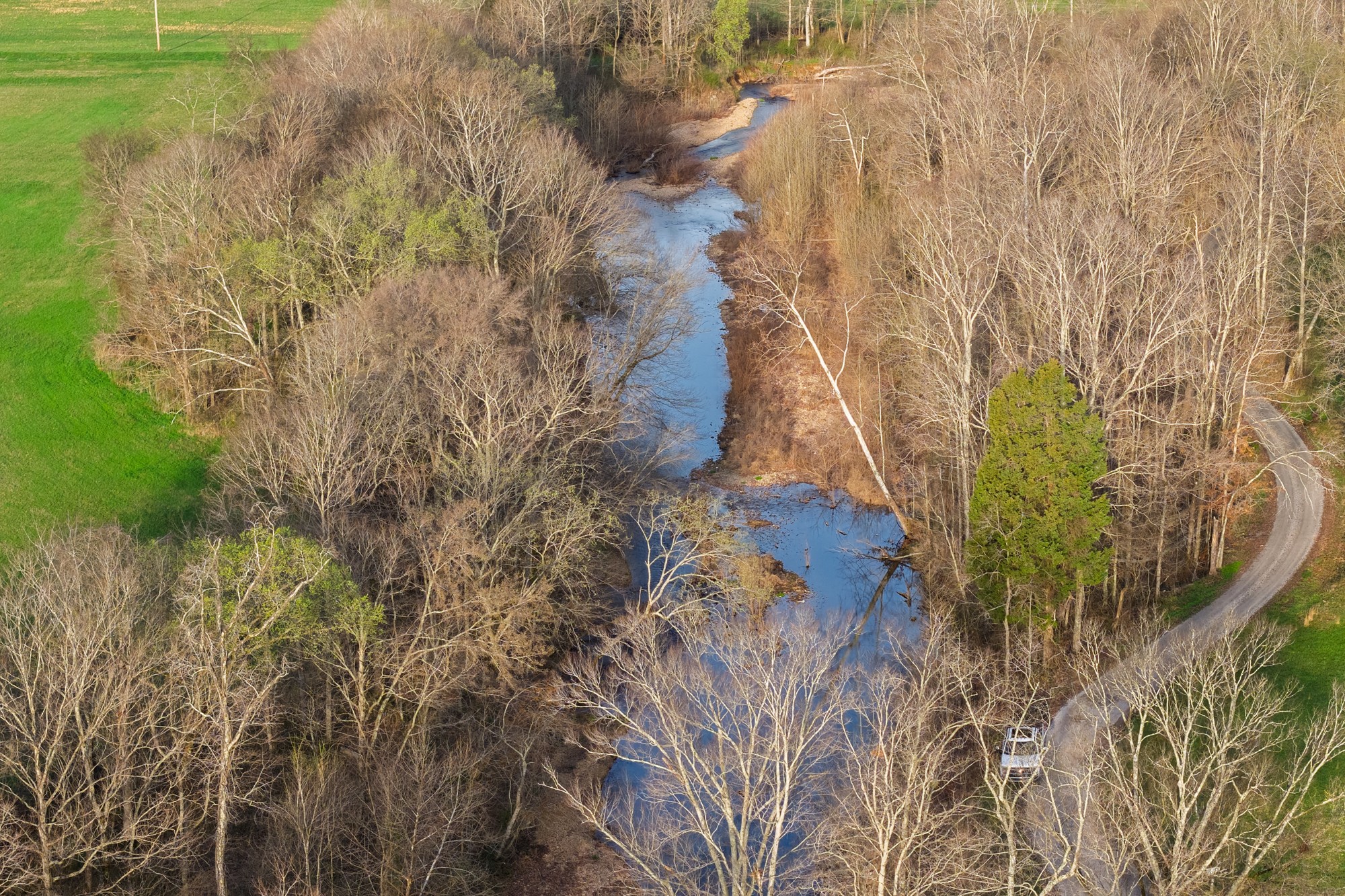 0 Nix Lane Waverly, TN 37185 - Photo 31 of 32 a view of a yard with plants and wooden wall