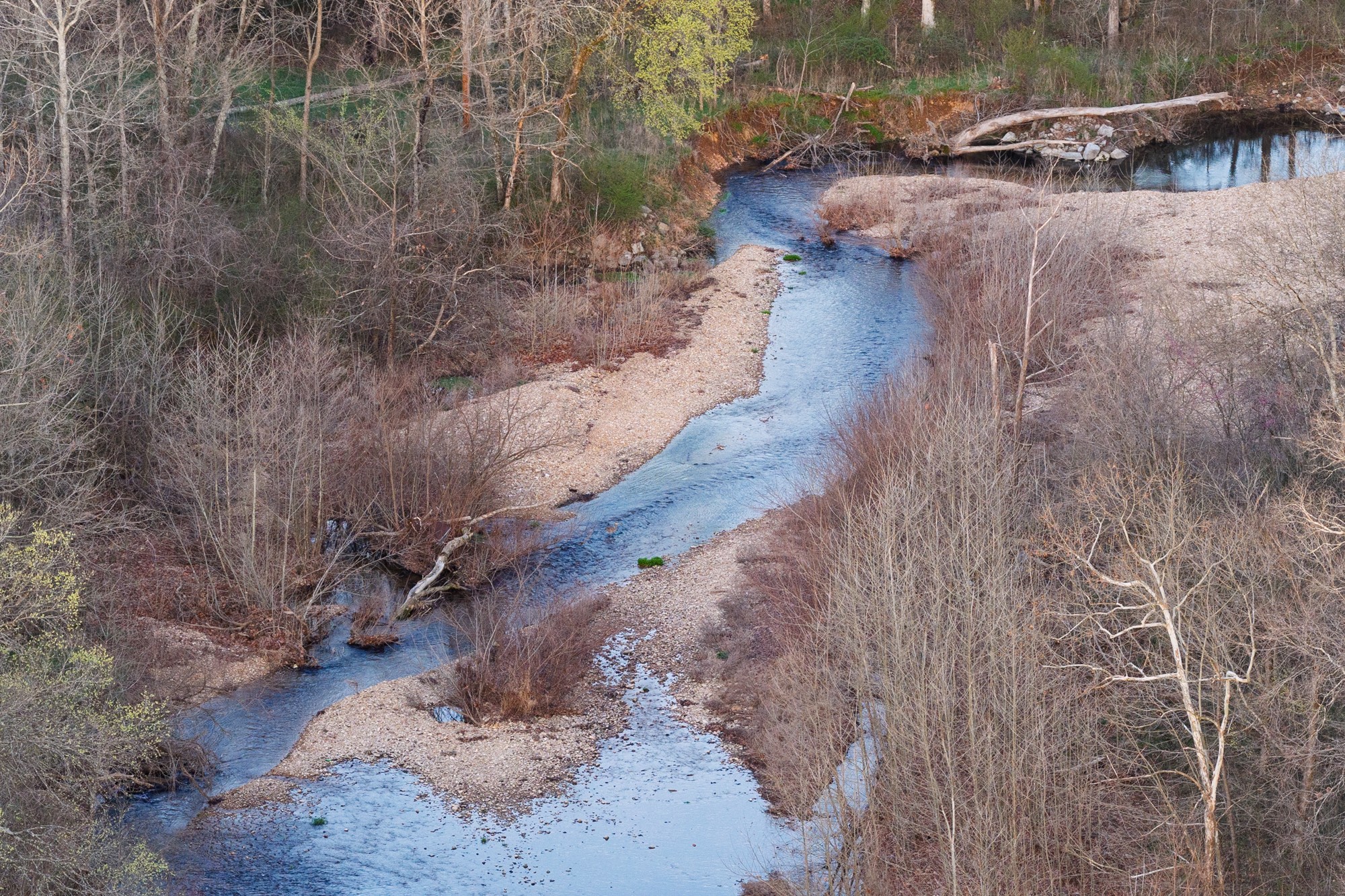 0 Nix Lane Waverly, TN 37185 - Photo 4 of 32 a view of a yard with wooden fence