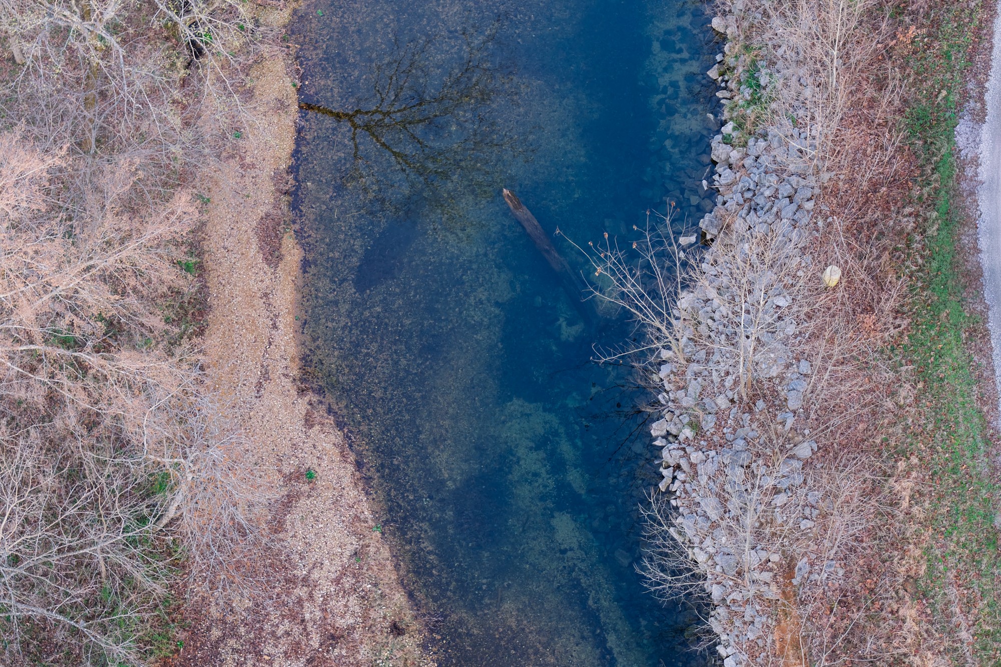 0 Nix Lane Waverly, TN 37185 - Photo 5 of 32 a view of a dry yard with trees