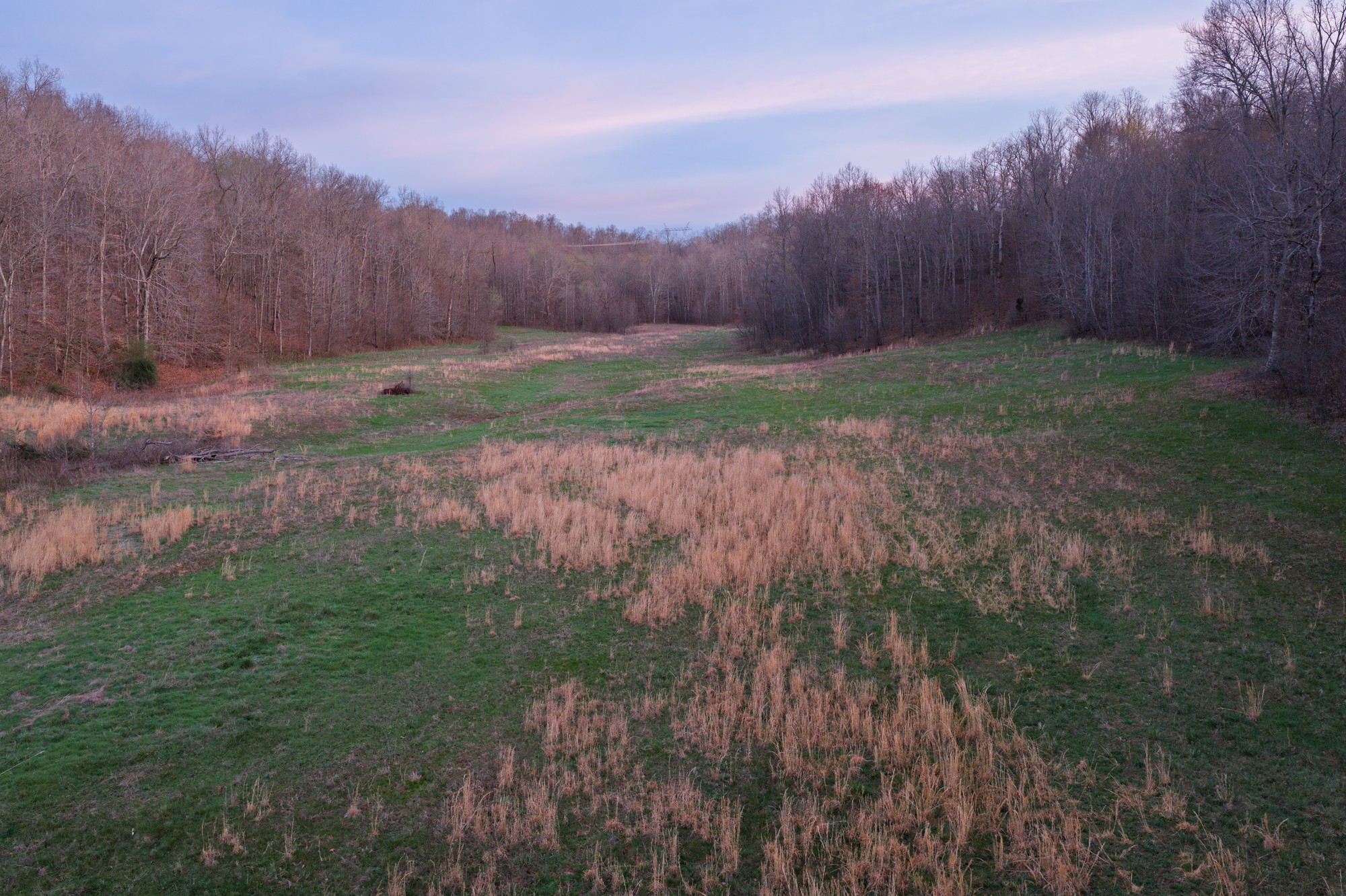 0 Nix Lane Waverly, TN 37185 - Photo 6 of 32 a view of a yard with a tree in the background