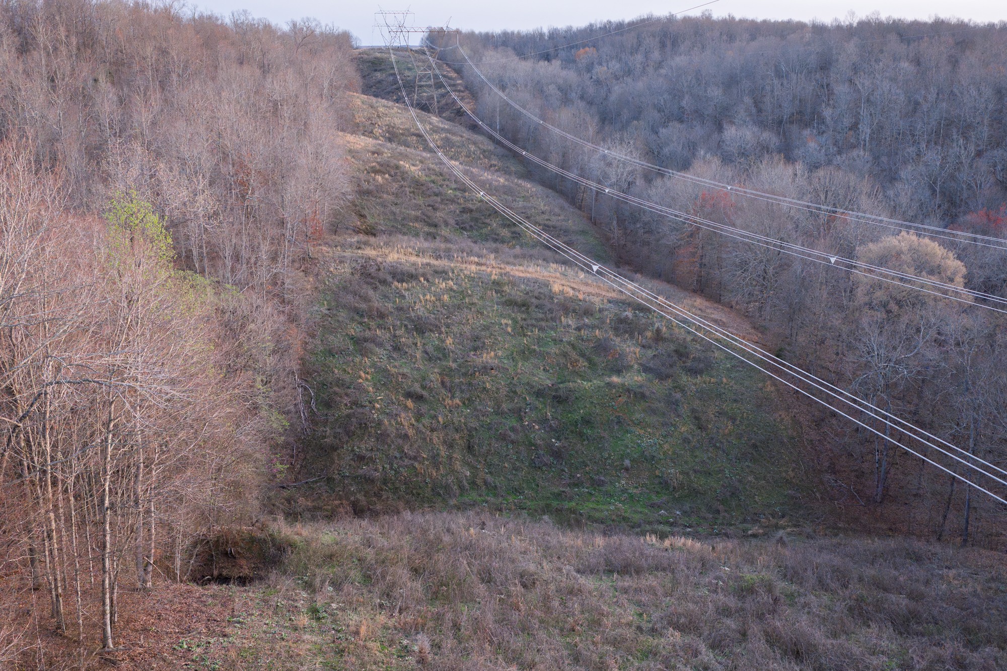 0 Nix Lane Waverly, TN 37185 - Photo 7 of 32 a view of a dry yard