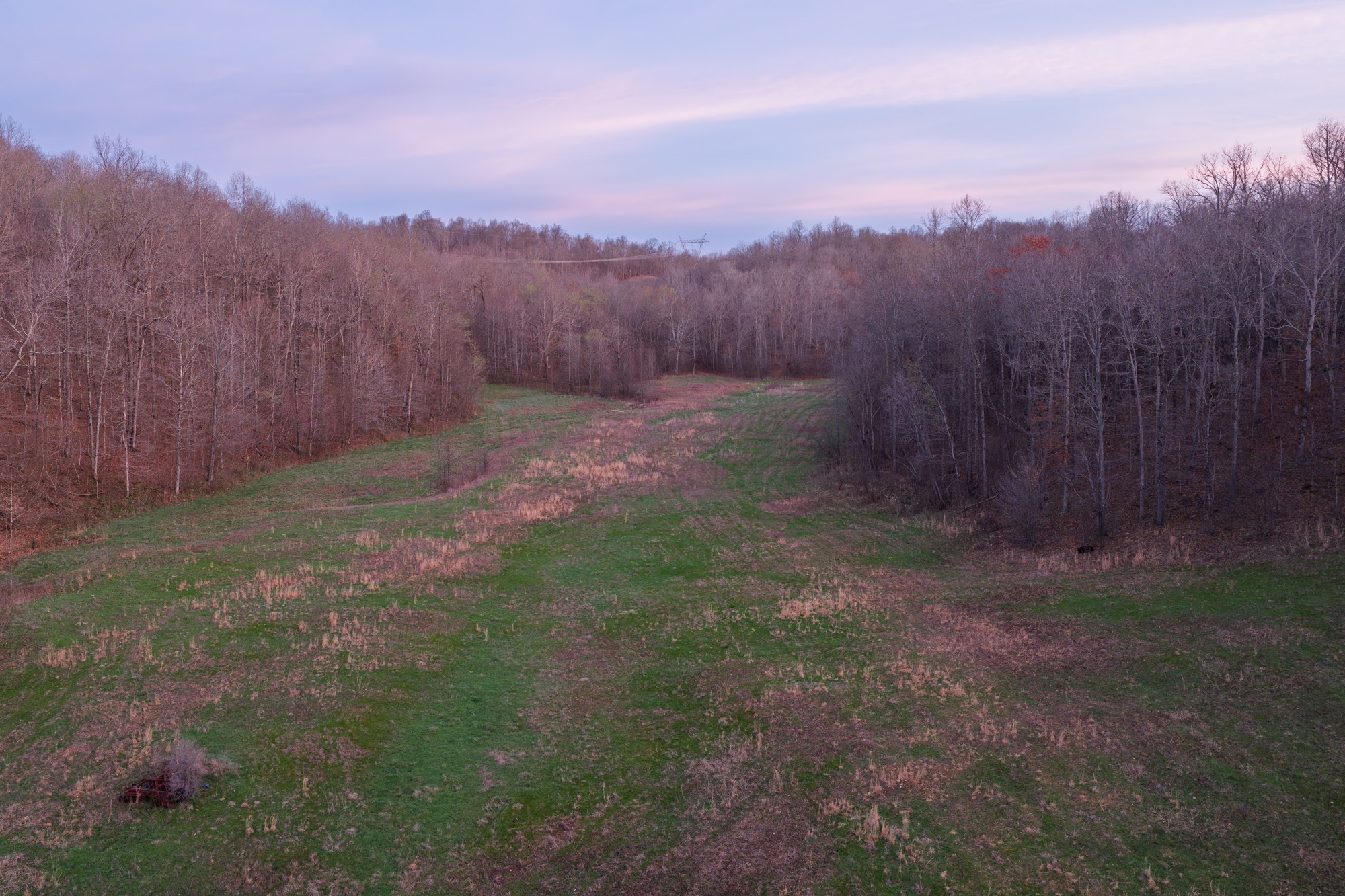 0 Nix Lane Waverly, TN 37185 - Photo 9 of 32 a view of a yard with trees in the background