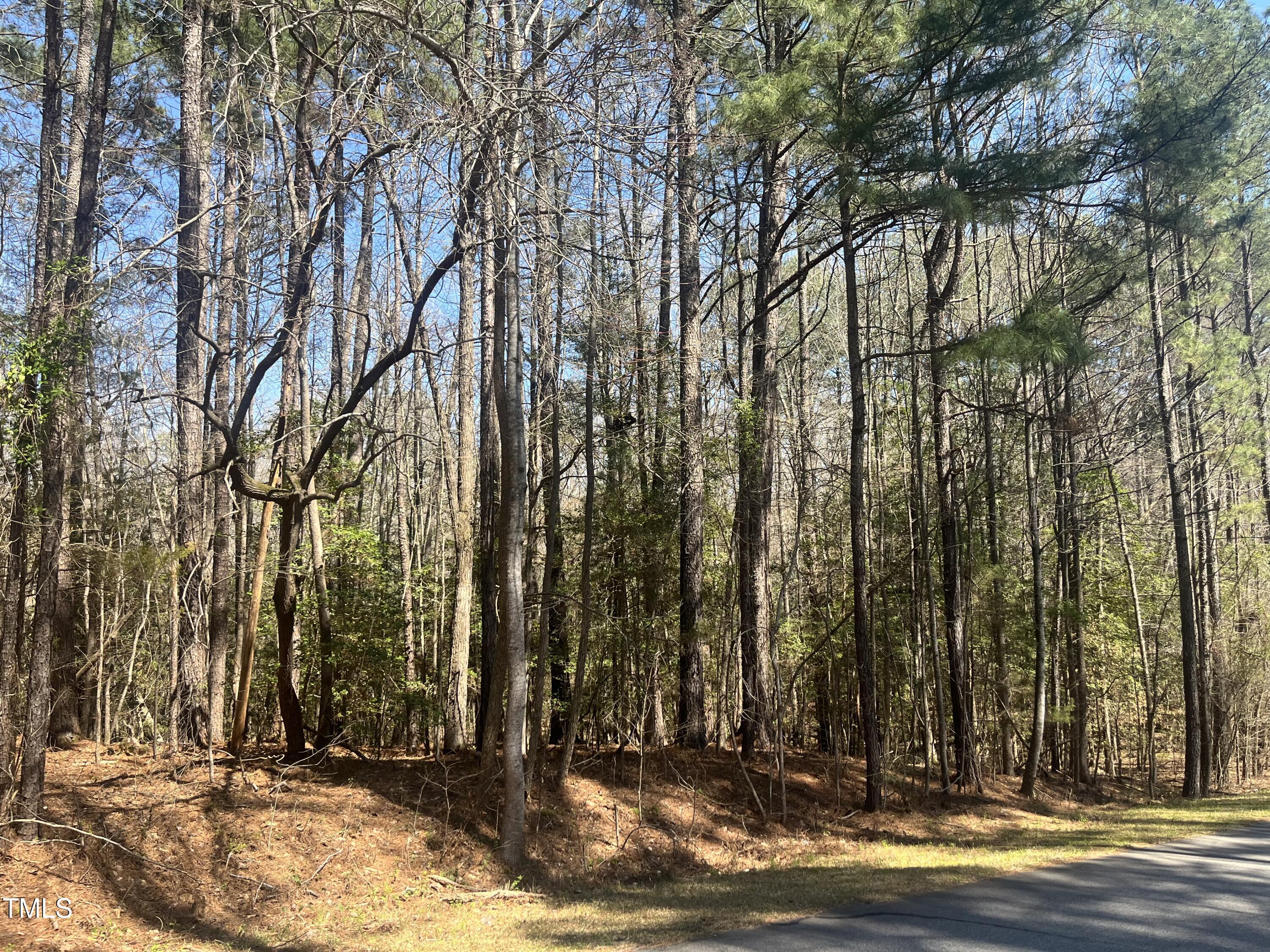 119-121 Osage Drive Spring Hope, NC 27882 - Photo 2 of 5 a view of outdoor space with deck