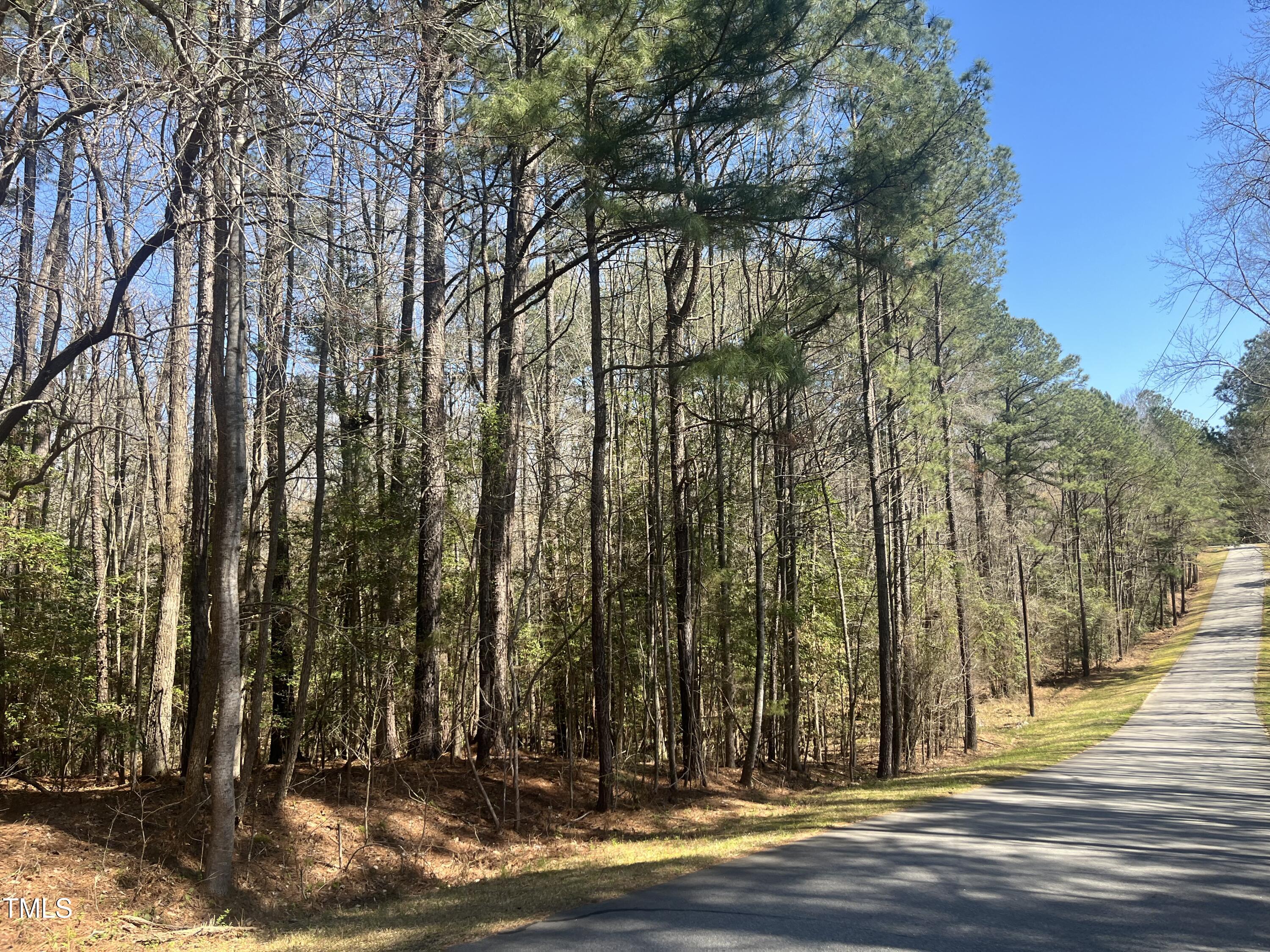 119-121 Osage Drive Spring Hope, NC 27882 - Photo 3 of 5 a view of outdoor space with yard