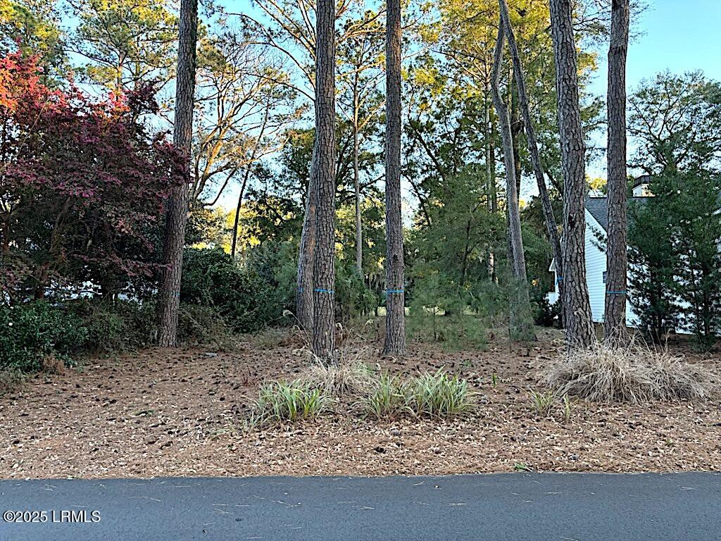 103 Locust Fence Road St. Helena Island, SC 29920 - Photo 1 of 12 IMG_3269