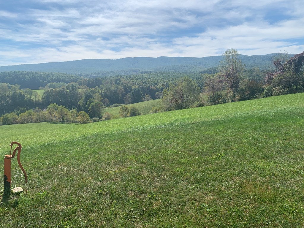792 Knight Road Rural Retreat, VA 24368 - Photo 22 of 23 Gallery Image 22