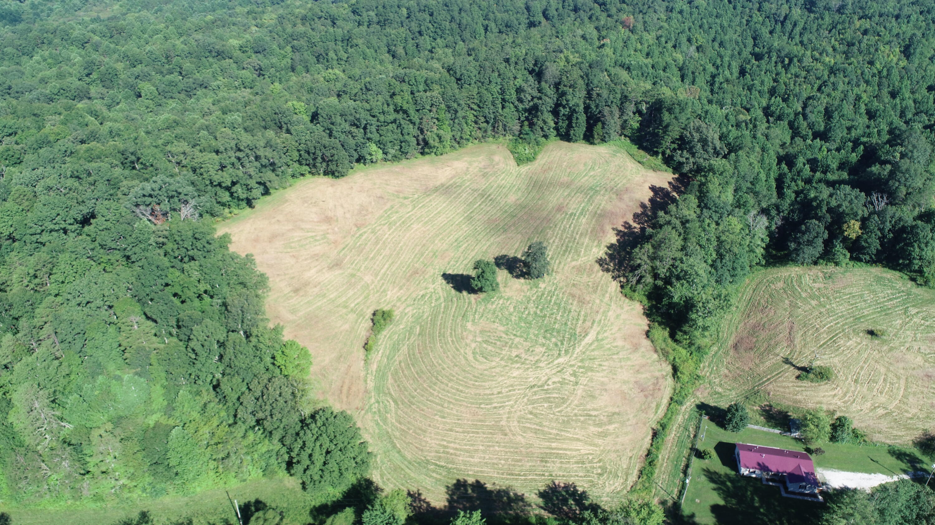1 Langdon Branch Road Annville, KY 40402 - Photo 16 of 30 DJI_0225