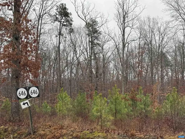 a view of a forest that has tree in the background