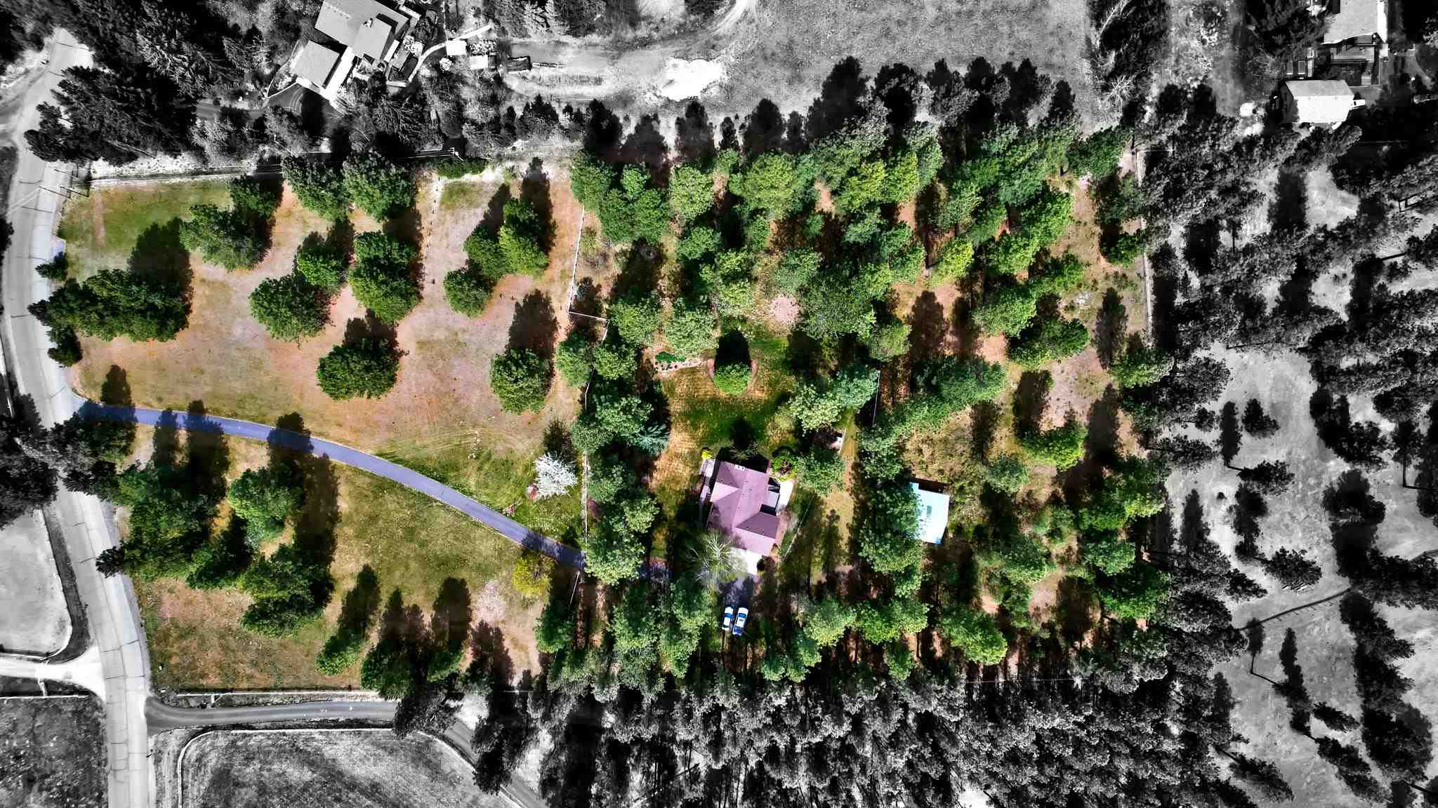 8115 South Ramona Road Spokane, WA 99224 - Photo 42 of 50