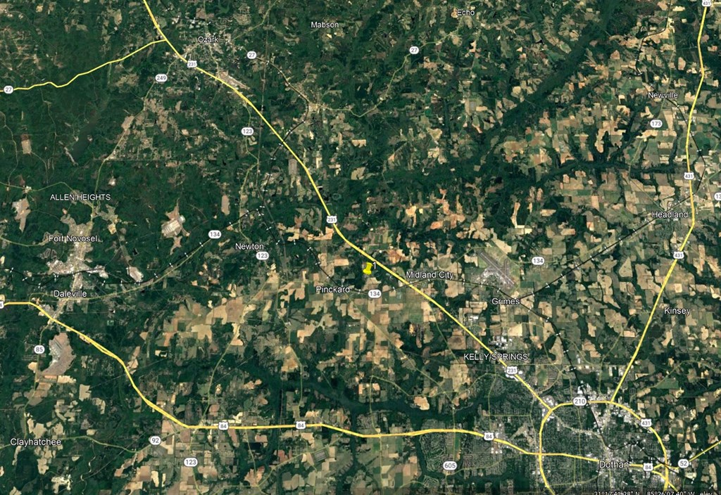 16.14-ac Lees Bridge Road Midland City, AL 36350 - Photo 23 of 28