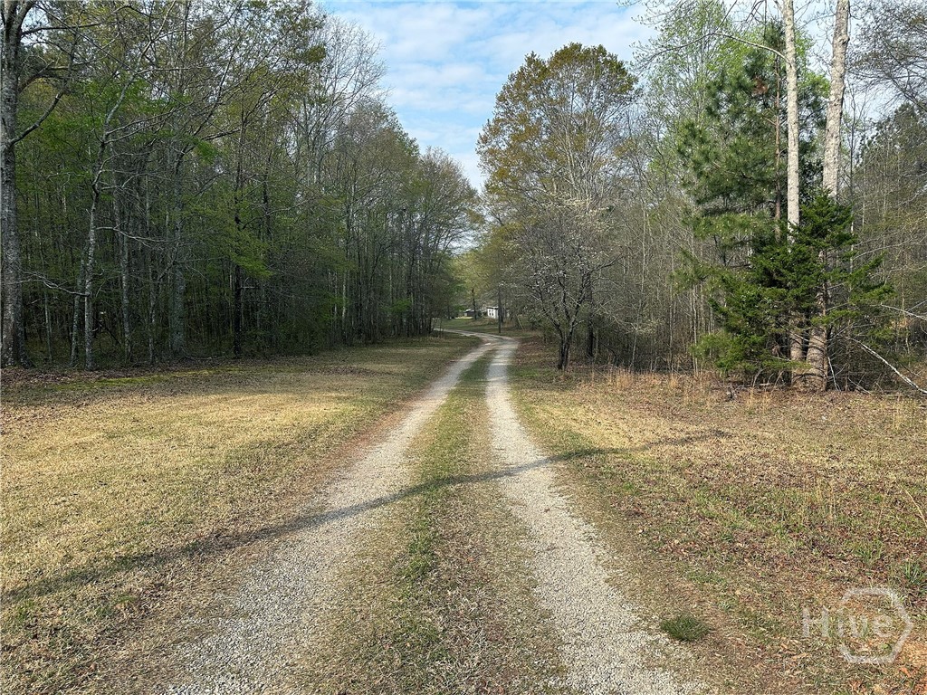 1104 Farm Road Colbert, GA 30628 - Photo 28 of 39 Driveway
