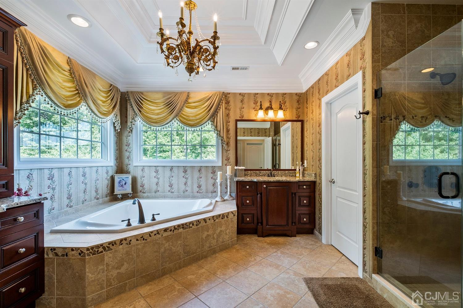 12 Horseshoe Court Monroe Township, NJ 08831 - Photo 19 of 81 a bathroom with a tub a sink and a large window