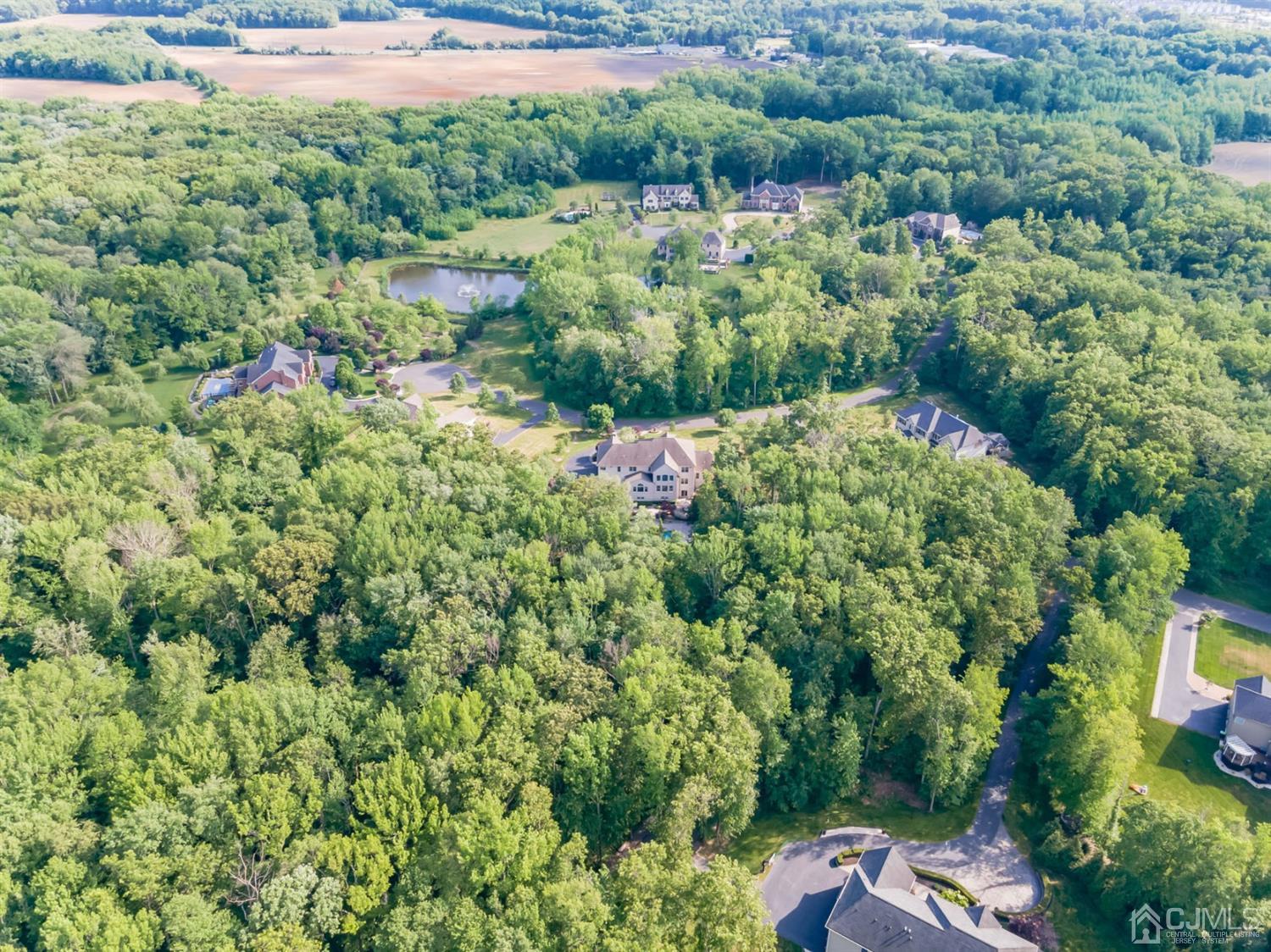 12 Horseshoe Court Monroe Township, NJ 08831 - Photo 33 of 81 an aerial view of residential house with outdoor space and trees all around