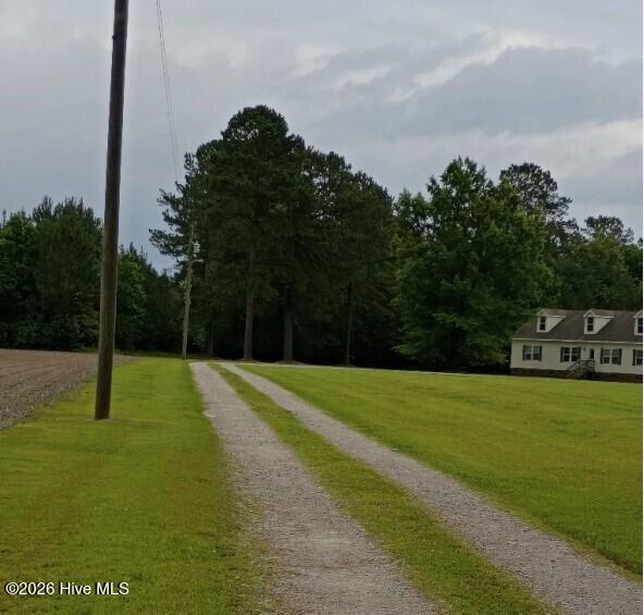0 Maules Point Road Blounts Creek, NC 27814 - Photo 7 of 7 Path to opening