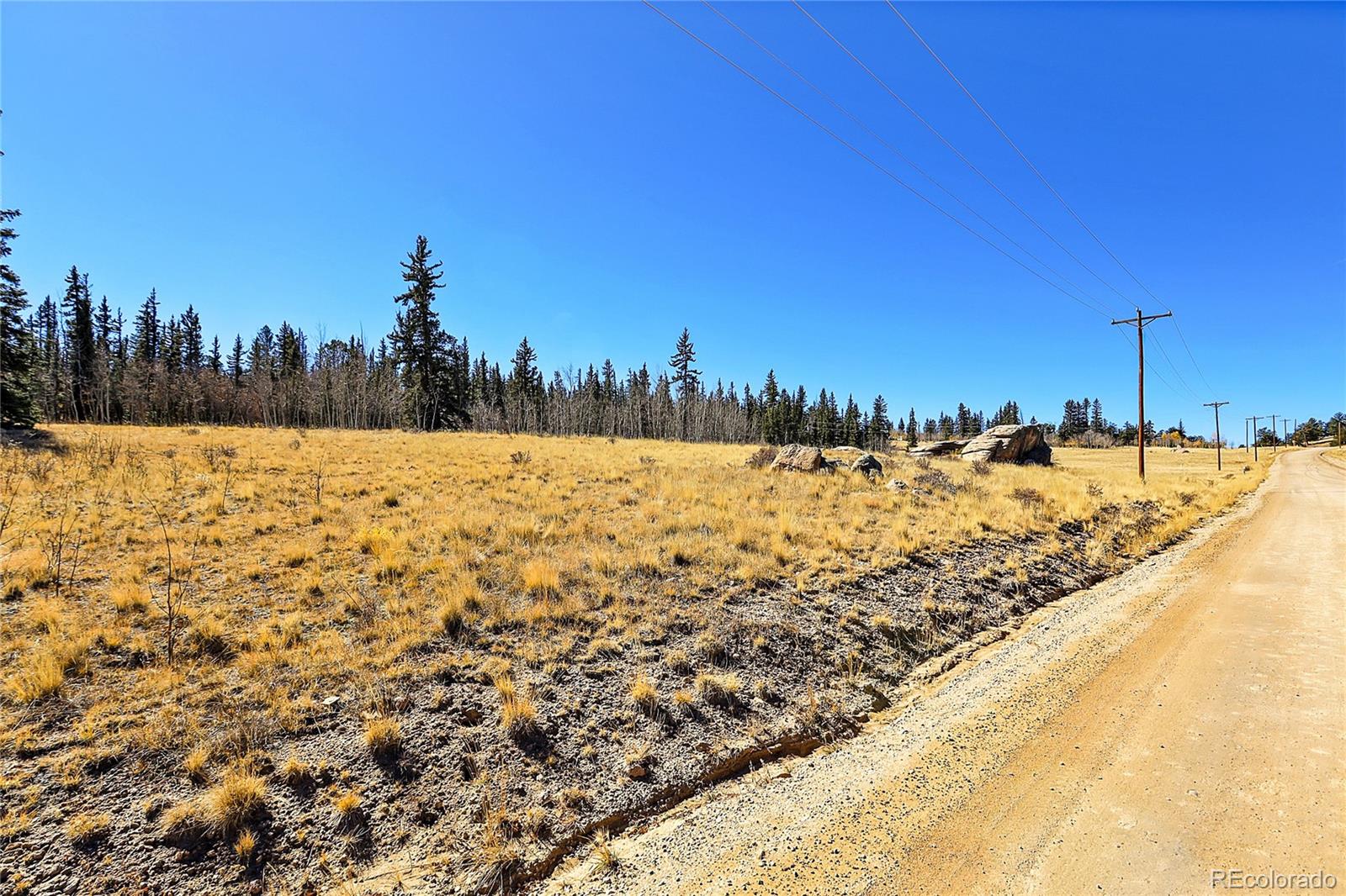 778 Chief Trail Como, CO 80456 - Photo 36 of 50 a view of outdoor space and trees