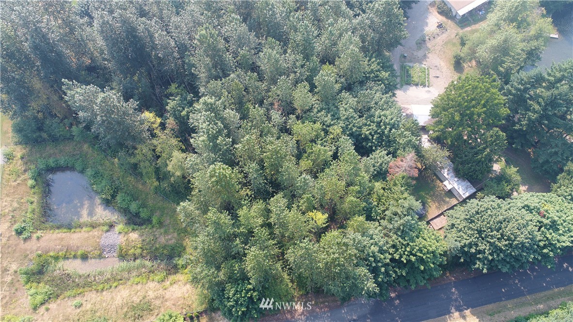 0 O Ofarrell Cutoff Road East Lake Tapps, WA 98391 - Photo 11 of 12 Gallery Image 11