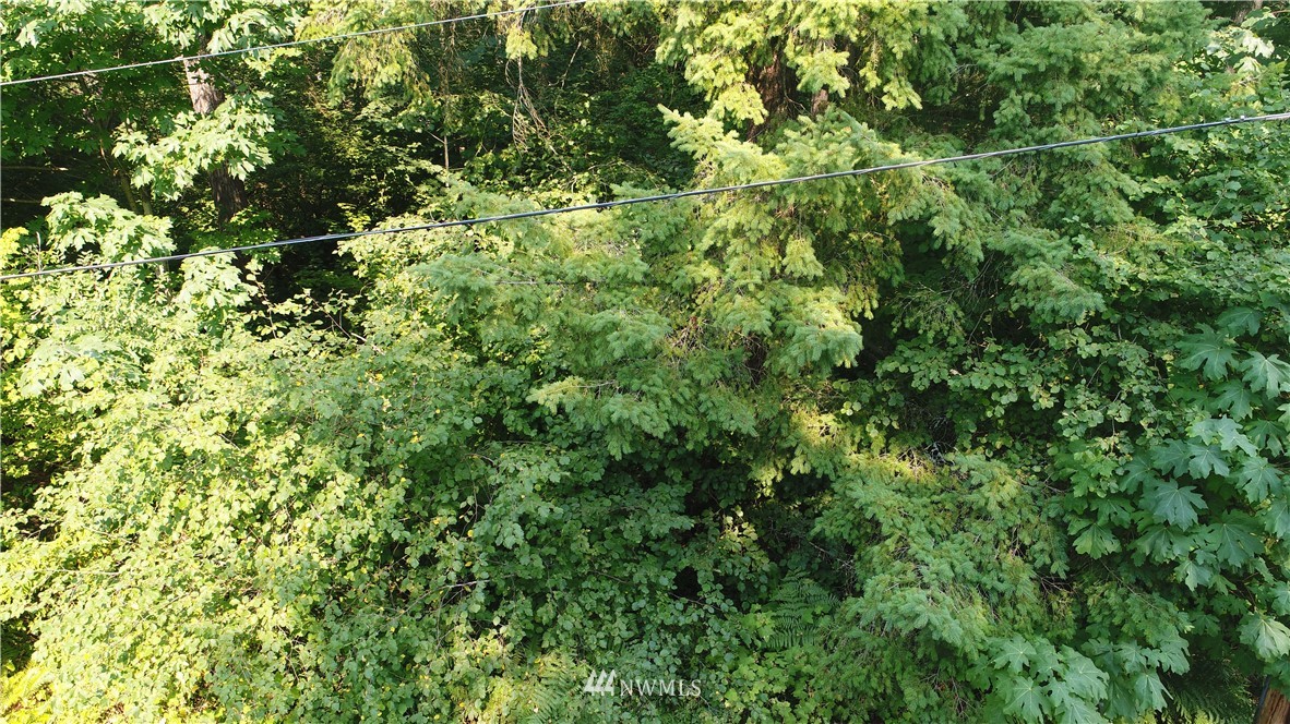 0 O Ofarrell Cutoff Road East Lake Tapps, WA 98391 - Photo 3 of 12 Gallery Image 3