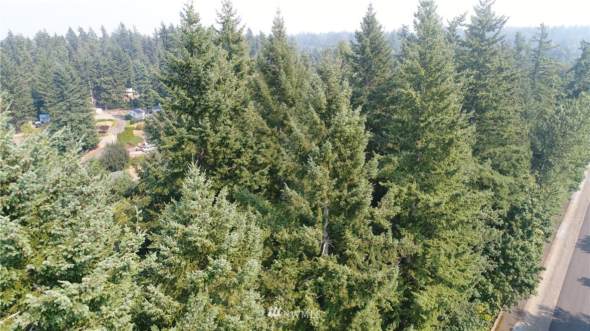 0 O Ofarrell Cutoff Road East Lake Tapps, WA 98391 - Photo 4 of 12 Gallery Image 4