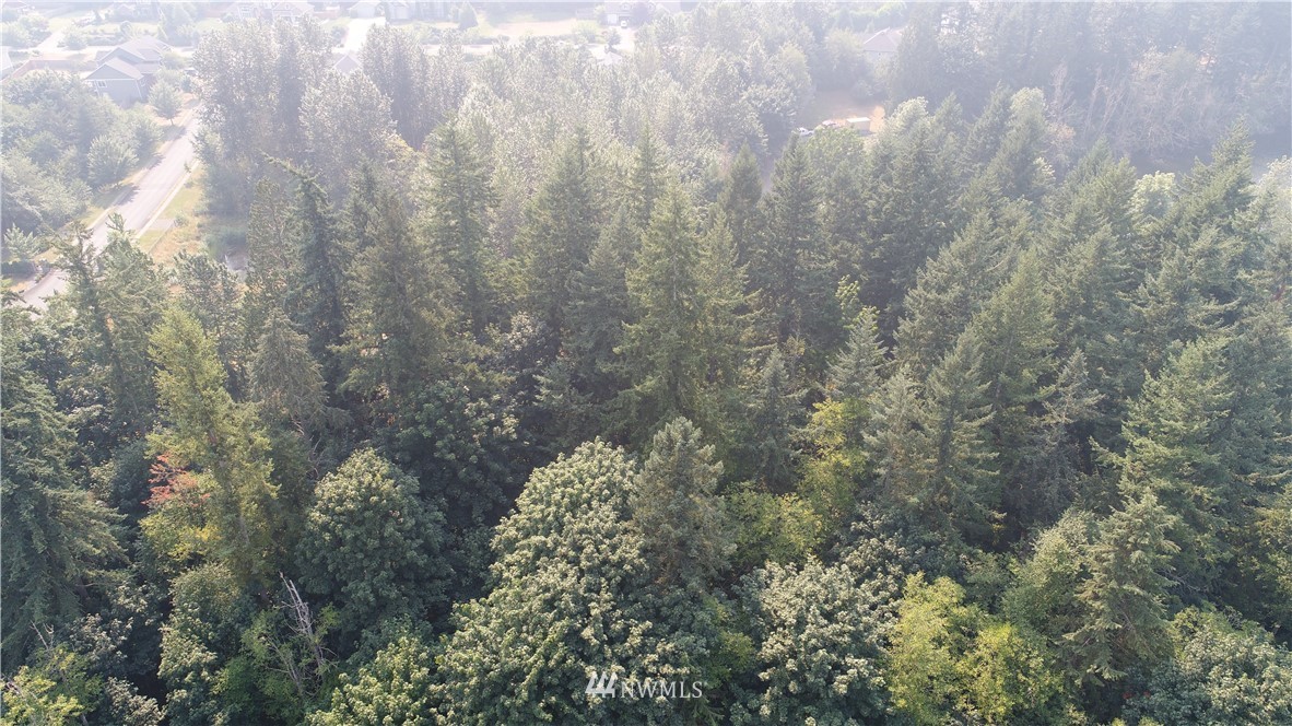 0 O Ofarrell Cutoff Road East Lake Tapps, WA 98391 - Photo 7 of 12 Gallery Image 7