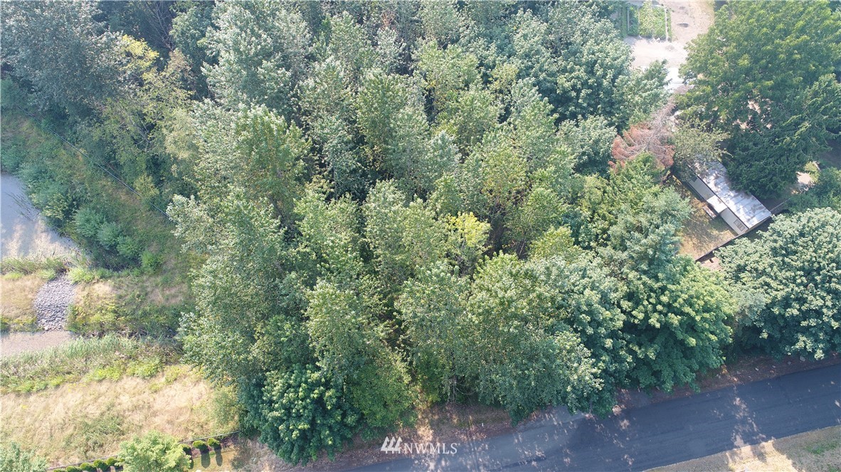 0 O Ofarrell Cutoff Road East Lake Tapps, WA 98391 - Photo 9 of 12 Gallery Image 9